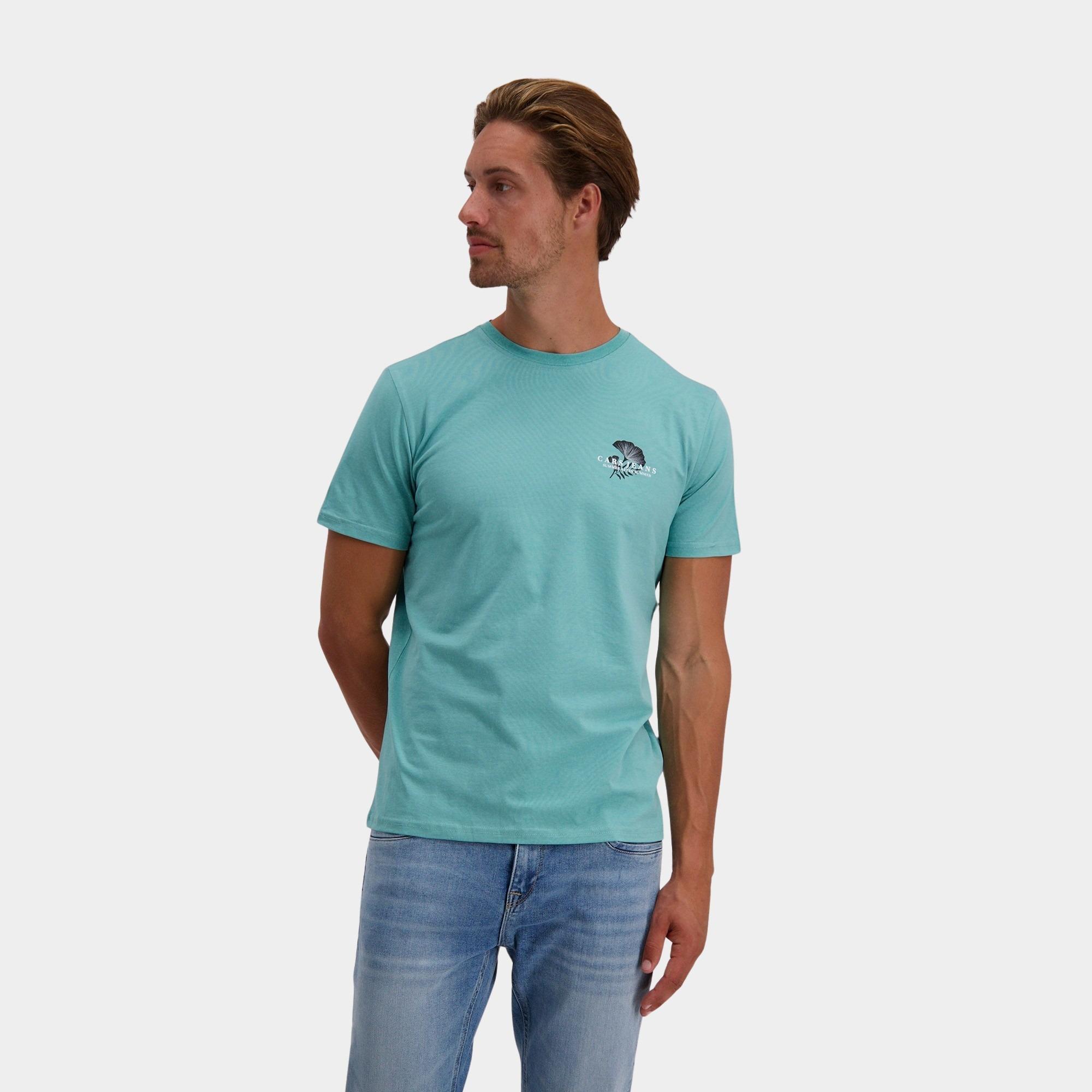 Cars Jeans T-shirt korte mouw Groen RADDLER 65353/34