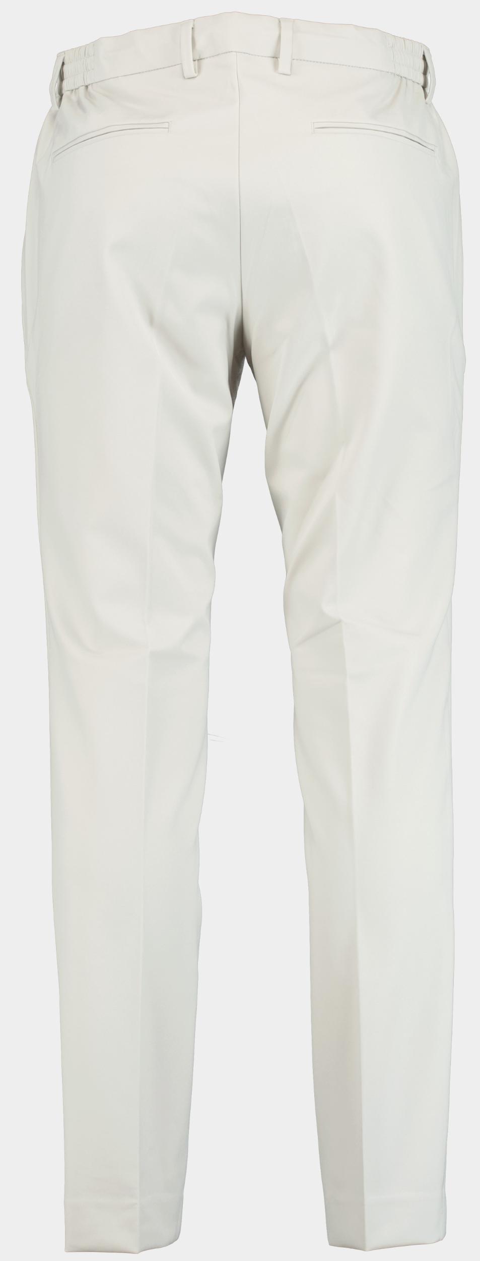 Born With Appetite Chino Grijs Das Pants 25104DA10/920 mist