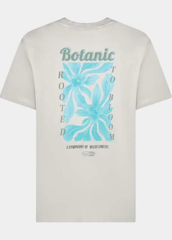 Cars Jeans T-shirt korte mouw Grijs Pluyo 61071/73