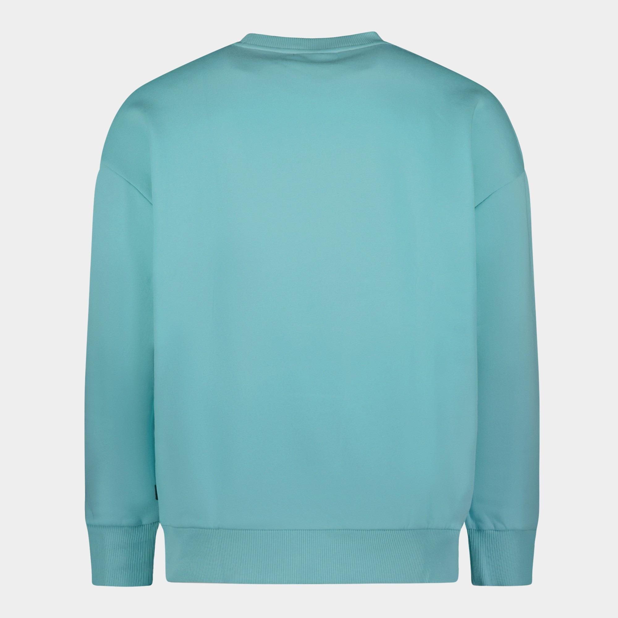 Cars Jeans Sweater Groen EAMON 40385/34
