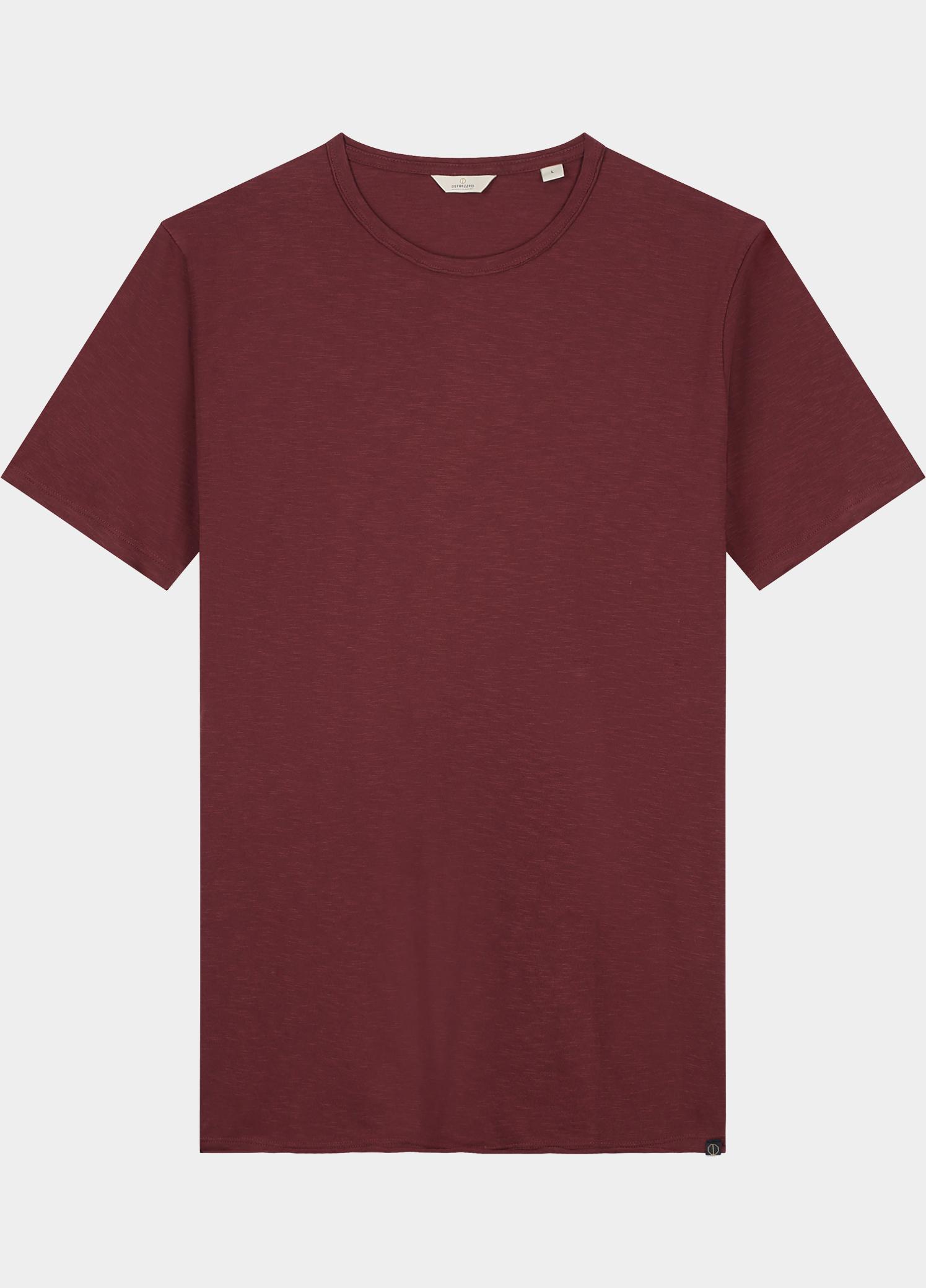 Dstrezzed T-shirt heren Rood Mc Queen 202274/422