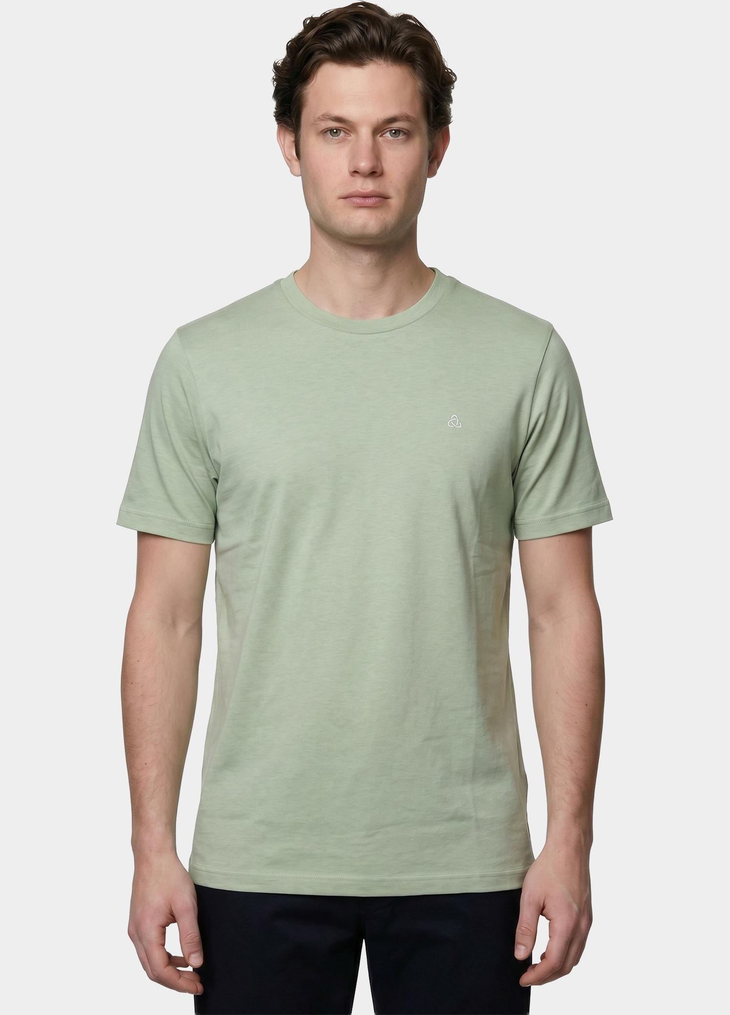 Scotland Blue T-shirt heren Groen Dynand T-shirt SPE25108DY42SB/311 pistachio