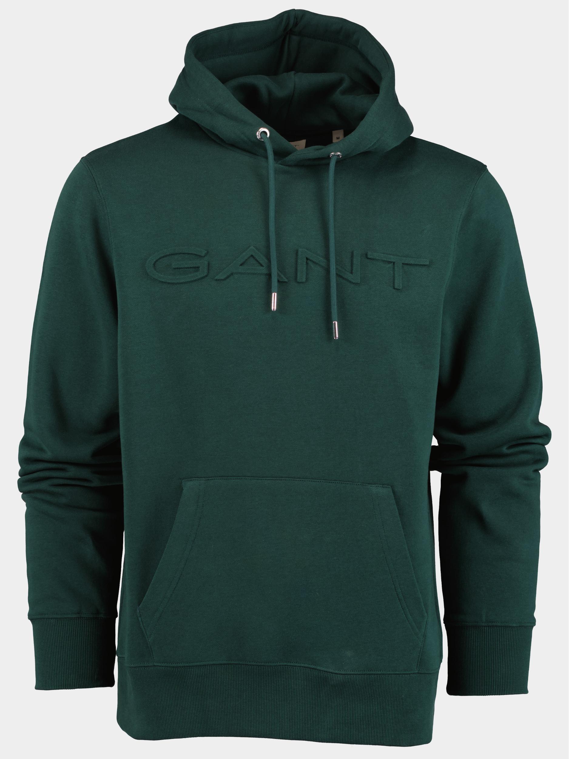 Gant Sweater Groen Embossed Sweat Hoodie 2007073/374