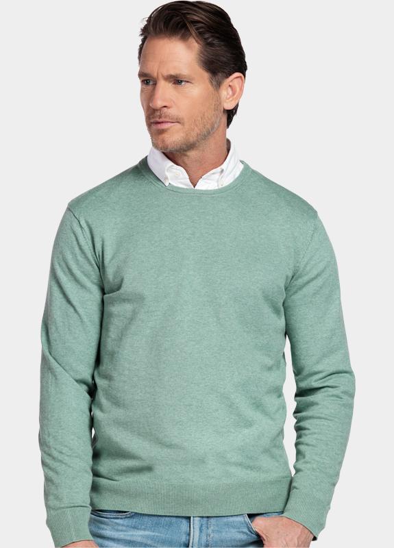 Baileys Pullover heren Groen Crew Neck Pullover  with low 618200/725