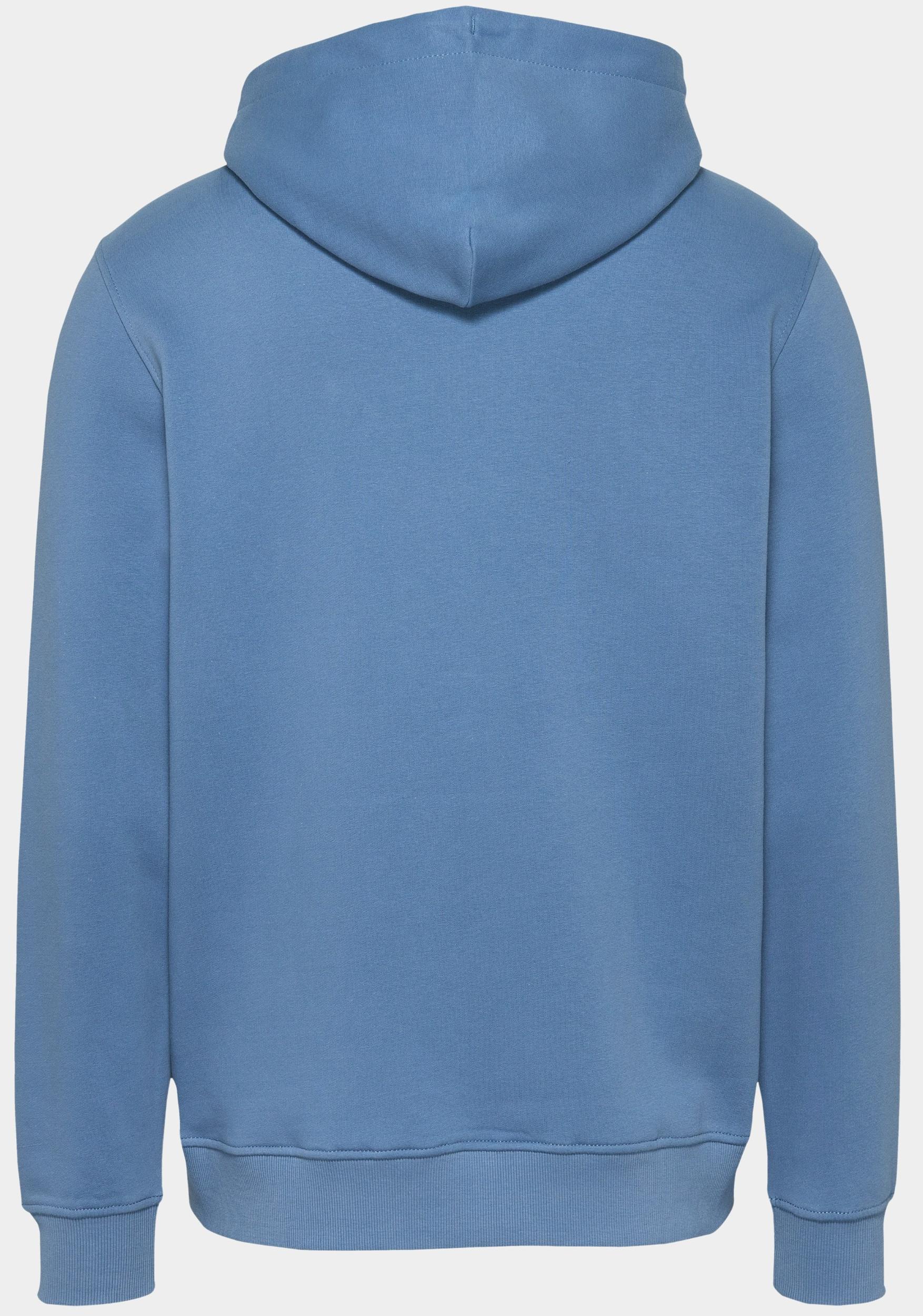 Tommy Jeans Sweater Blauw TJM REG LINEAR LOGO HOODIE EX DM0DM20746/DY6