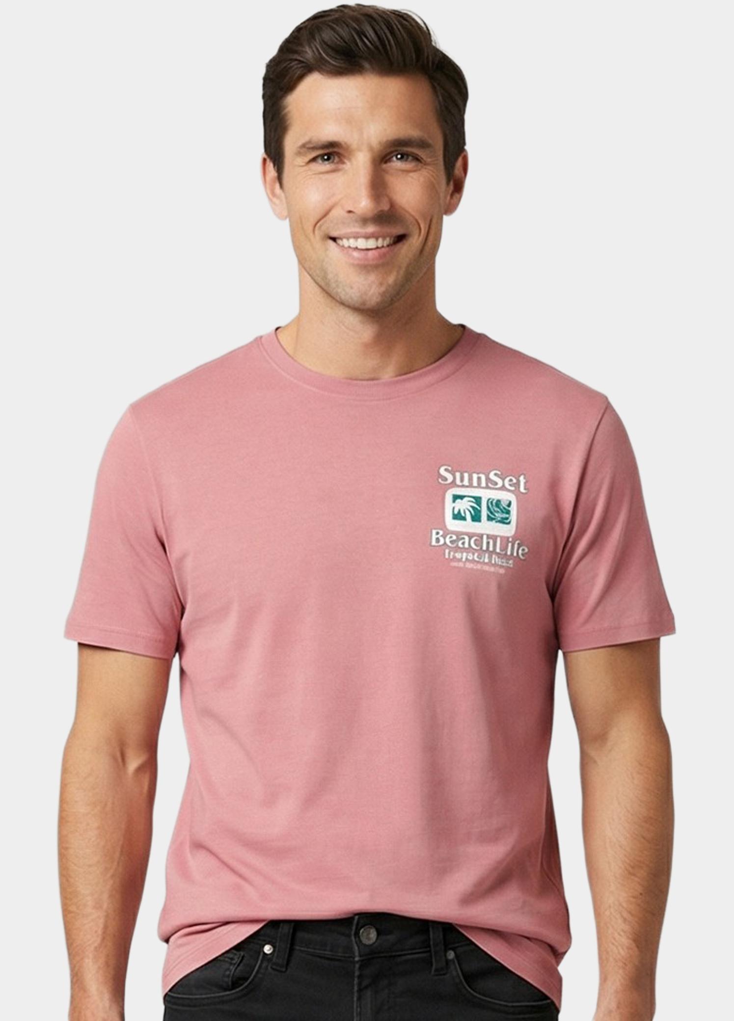 Cars Jeans T-shirt korte mouw Paars Ritzo 62371/62