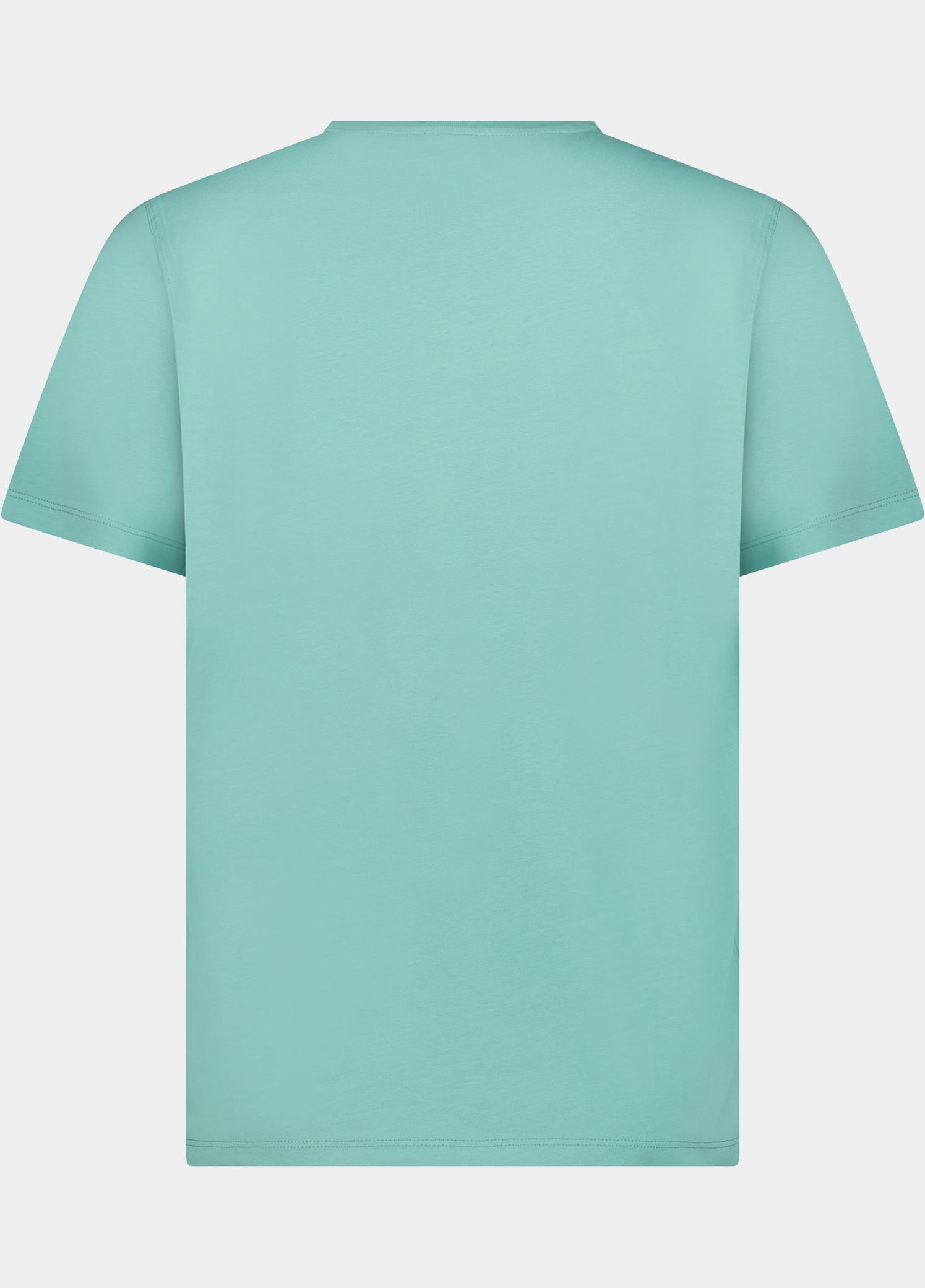 Cars Jeans T-shirt heren Groen Froso 43552/34