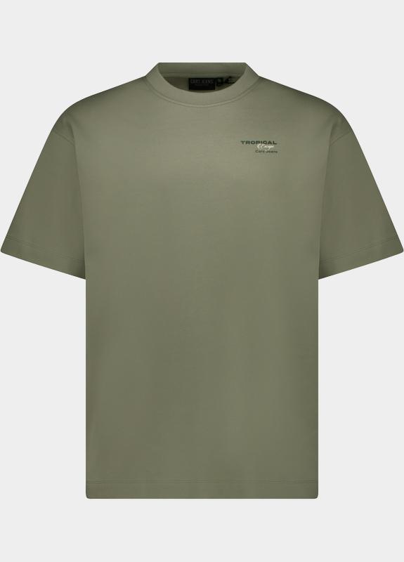 Cars Jeans T-shirt korte mouw Grijs Byzo 69171/44