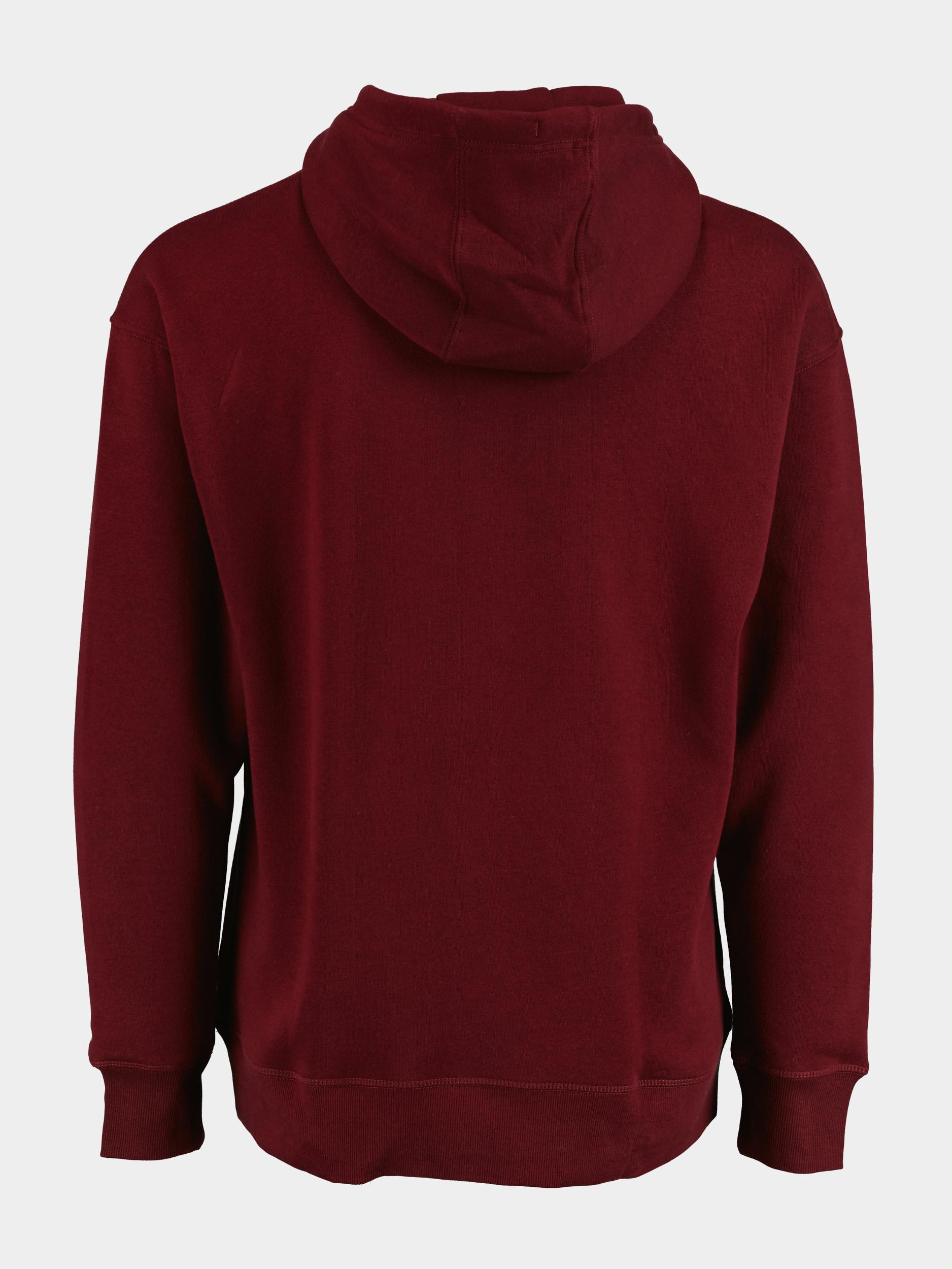 Tommy Jeans Sweater Rood TJM reg linear hoodie DM0DM15013/VLP