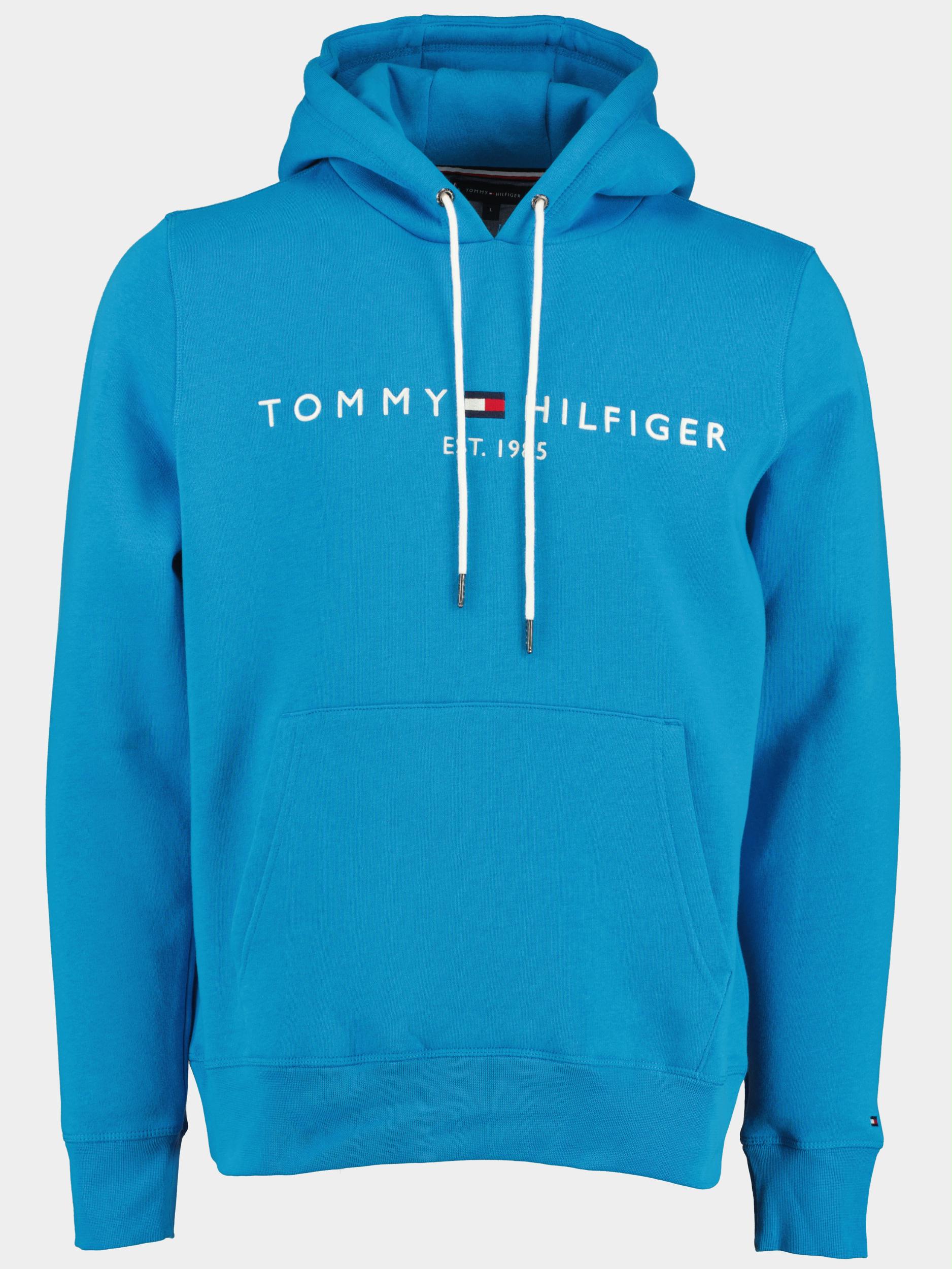 Tommy Hilfiger Sweater Blauw Tommy Logo Hoody MW0MW11599/CZW