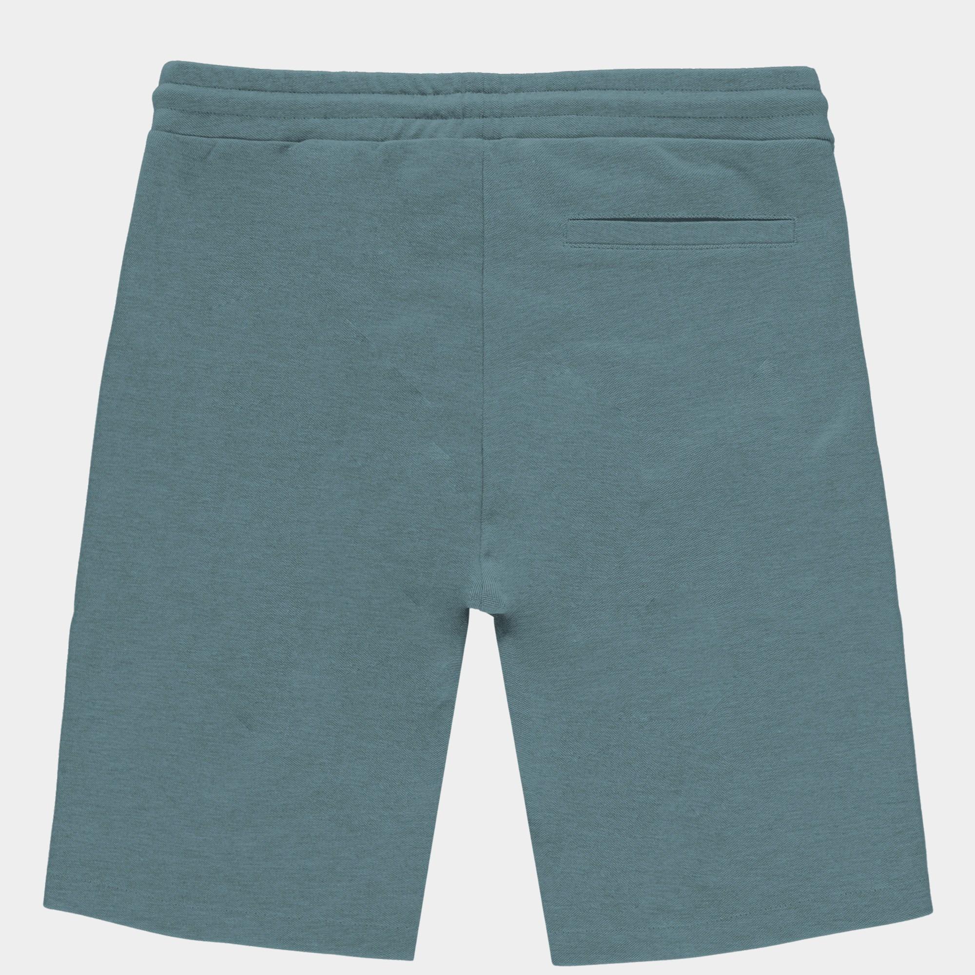 Cars Jeans Korte Broek Groen HERELL 48194/44