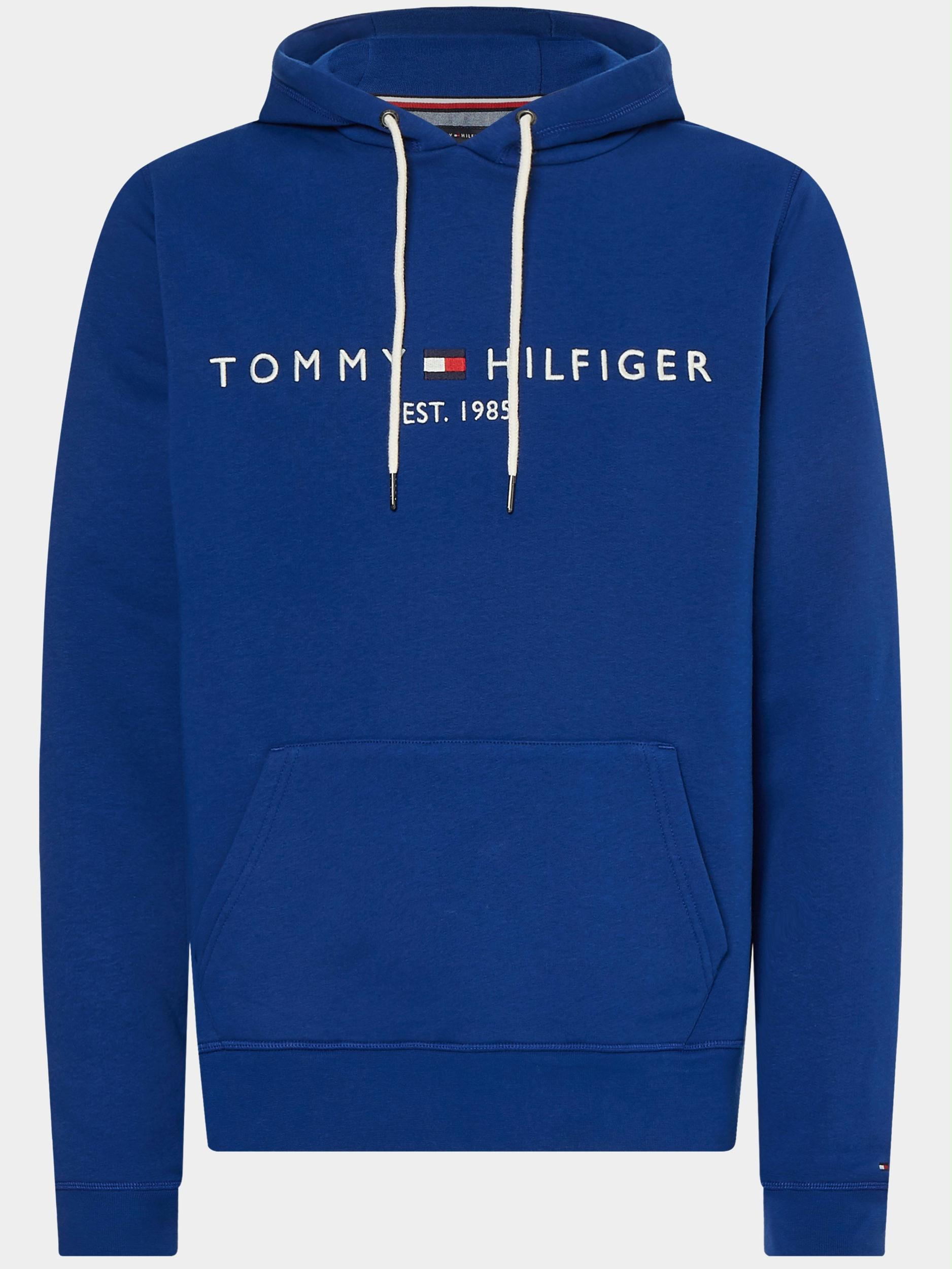 Tommy Hilfiger Sweater Blauw Tommy Logo Hoody MW0MW11599/C7L