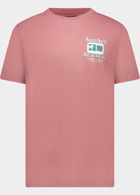 Cars Jeans T-shirt korte mouw Paars Ritzo 62371/62