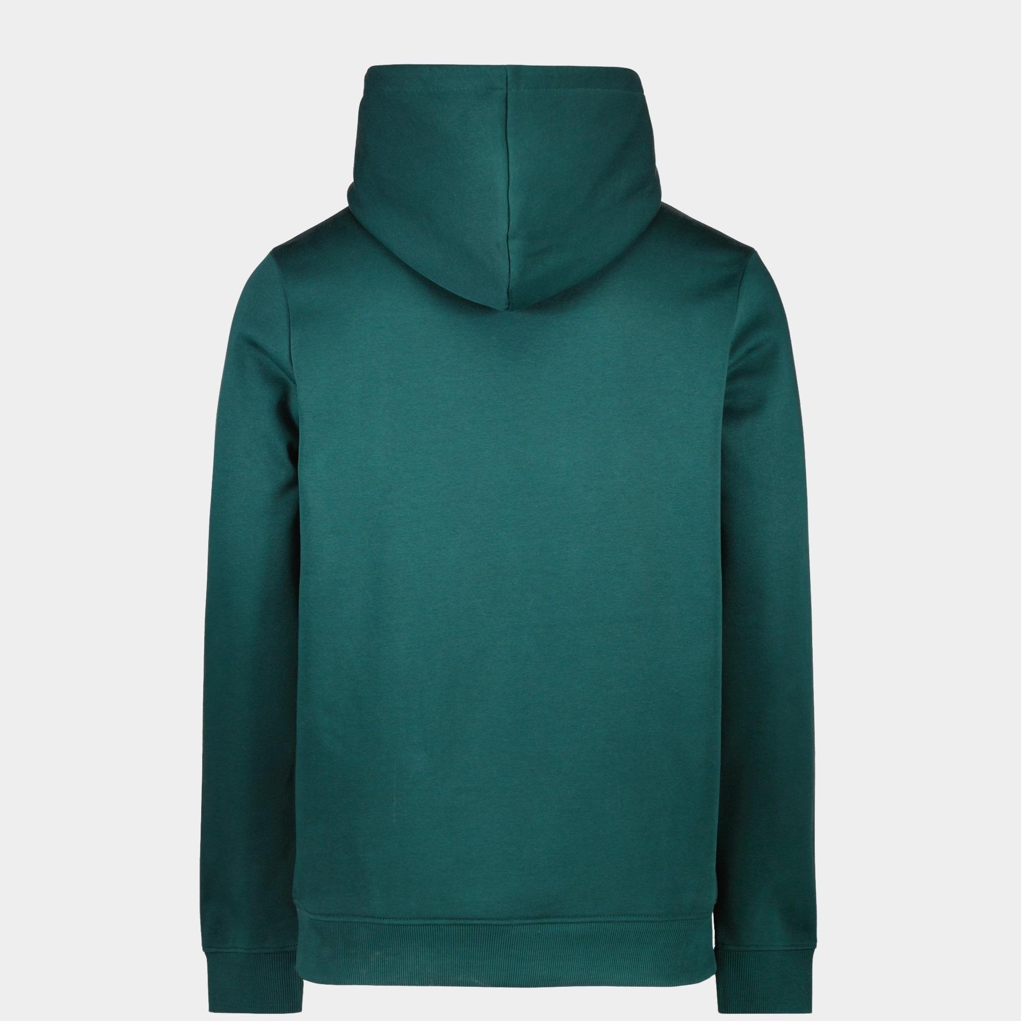 Cars Jeans Sweater Groen BOCAS 60146/46