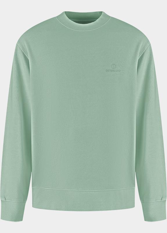 Dstrezzed Pullover heren Groen DS_Nikol Crew 211710-SMO/565