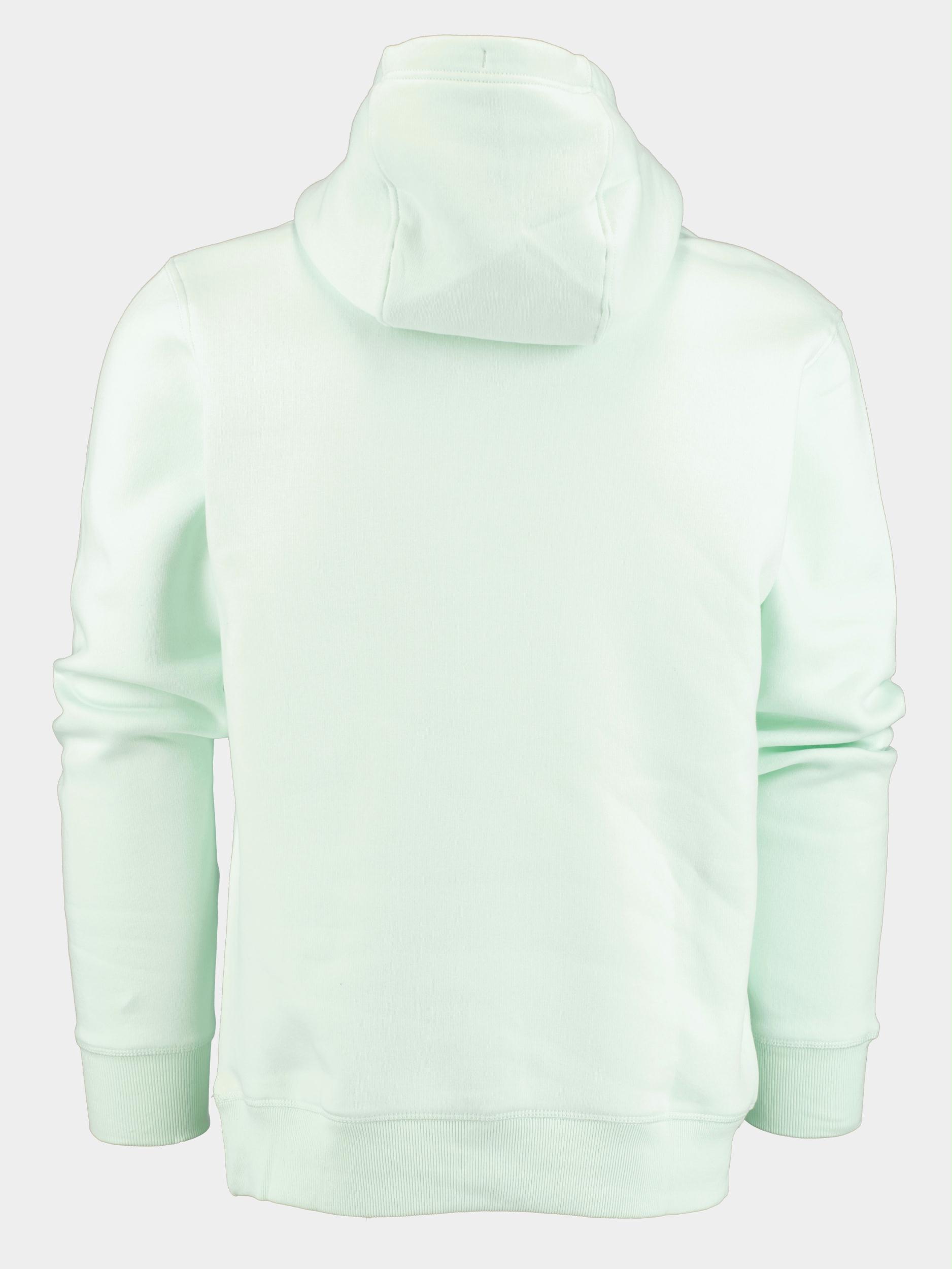 Tommy Jeans Sweater Groen TJM Reg Solid Hoodie DM0DM16382/LXW