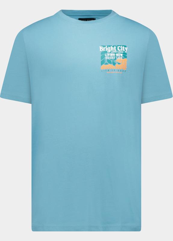 Cars Jeans T-shirt korte mouw Grijs Ritzo 62371/47