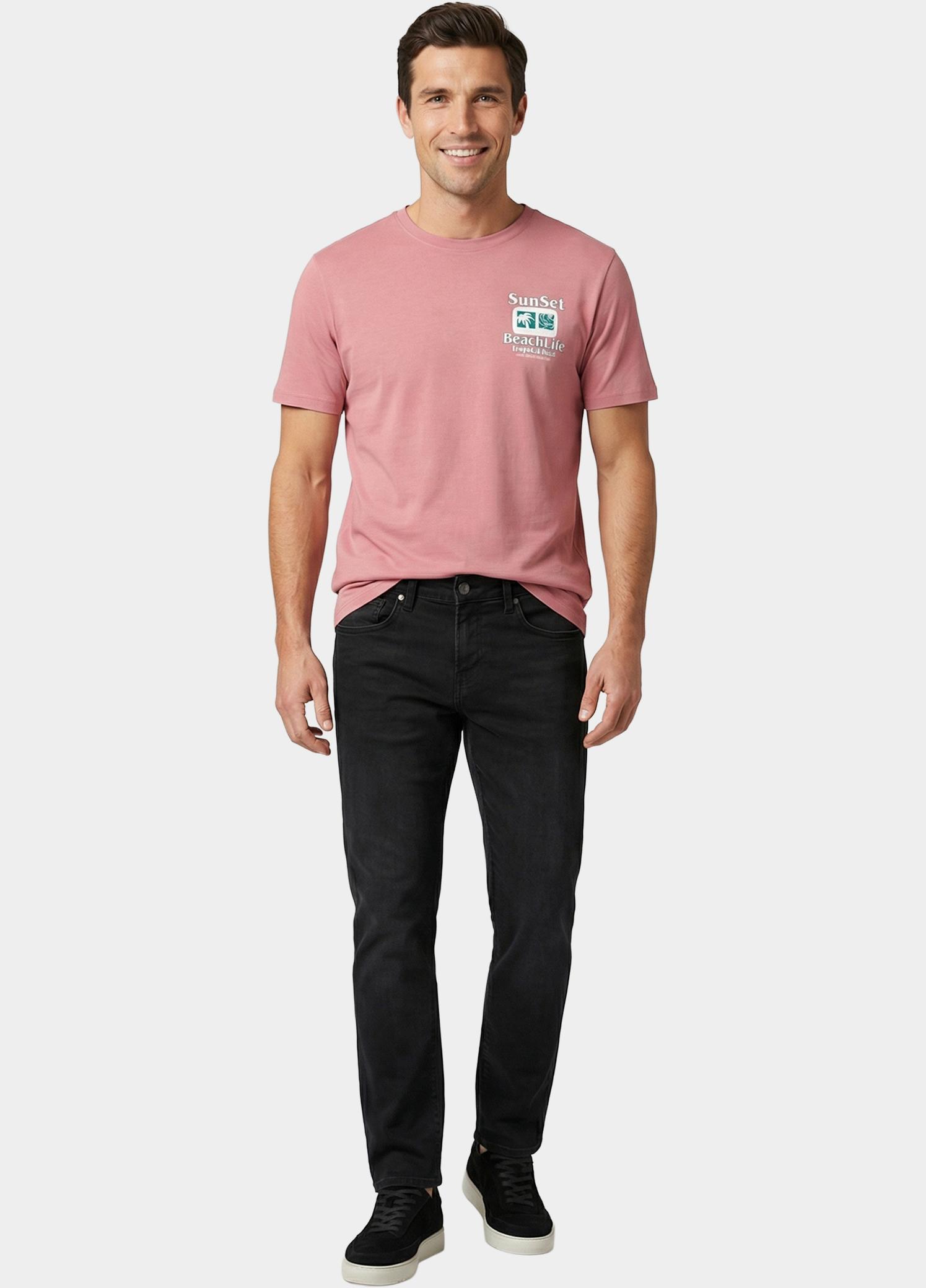 Cars Jeans T-shirt korte mouw Paars Ritzo 62371/62