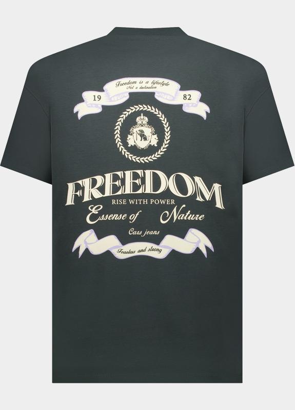 Cars Jeans T-shirt korte mouw Grijs Nazuro 61371/17