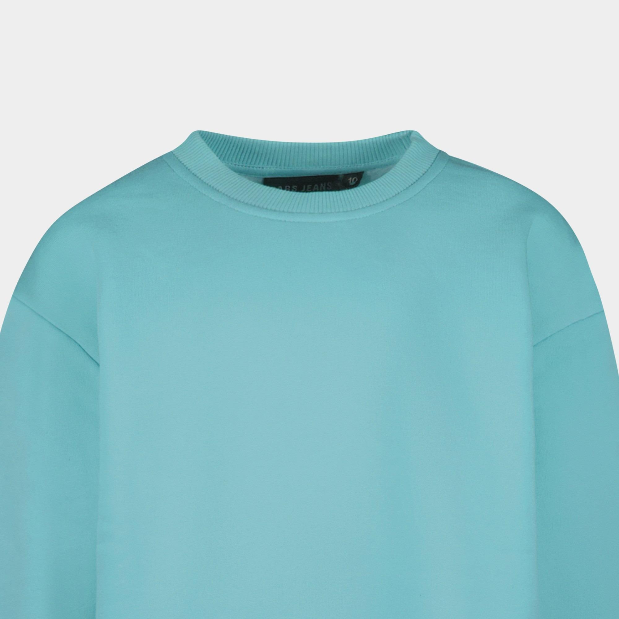 Cars Jeans Sweater Groen EAMON 40385/34