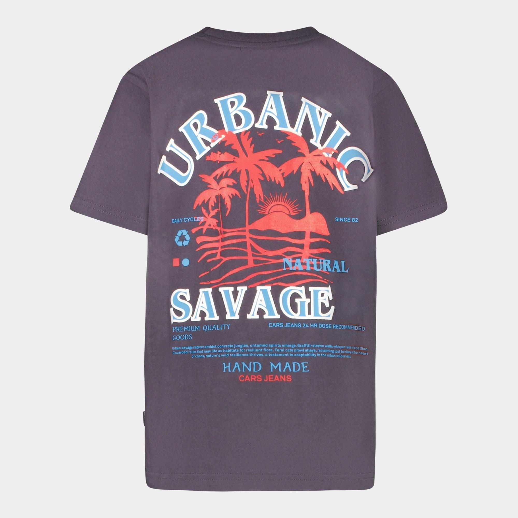 Cars Jeans T-shirt korte mouw Grijs AFREZO 84179/17
