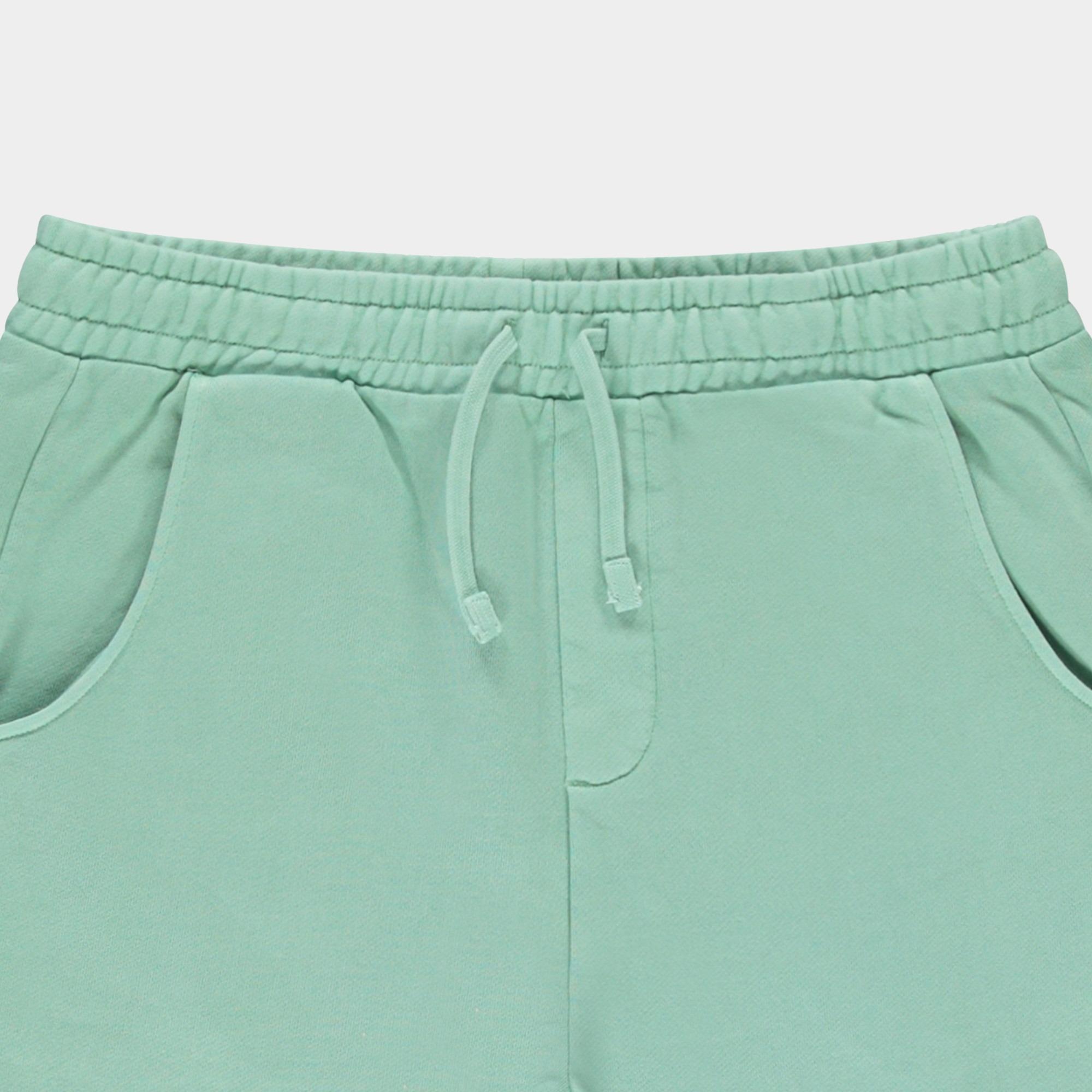 Cars Jeans Korte Broek Groen RYDAR 67092/34