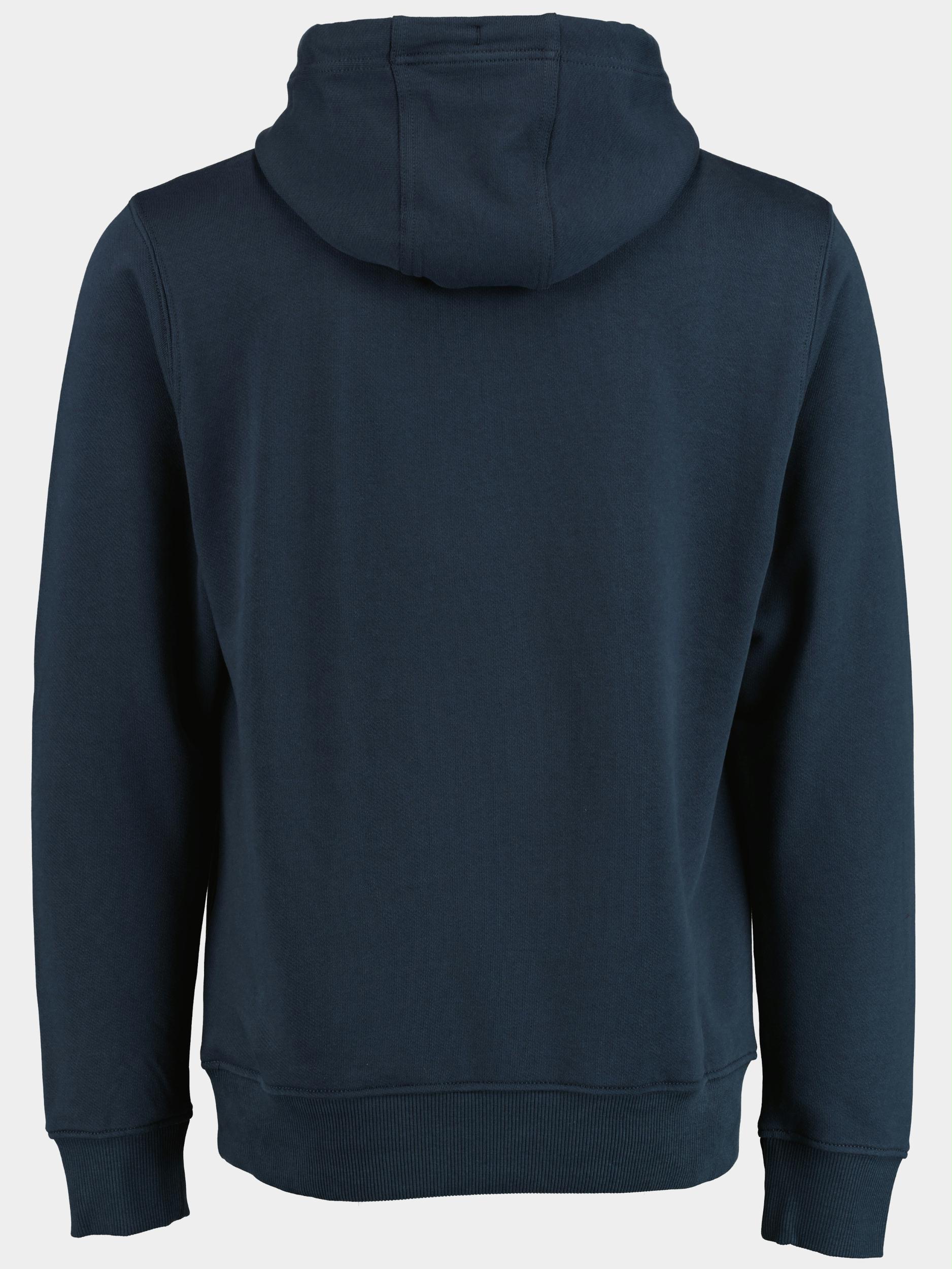 Tommy Jeans Sweater Blauw TJM reg essential graphic hood DM0DM15006/C87