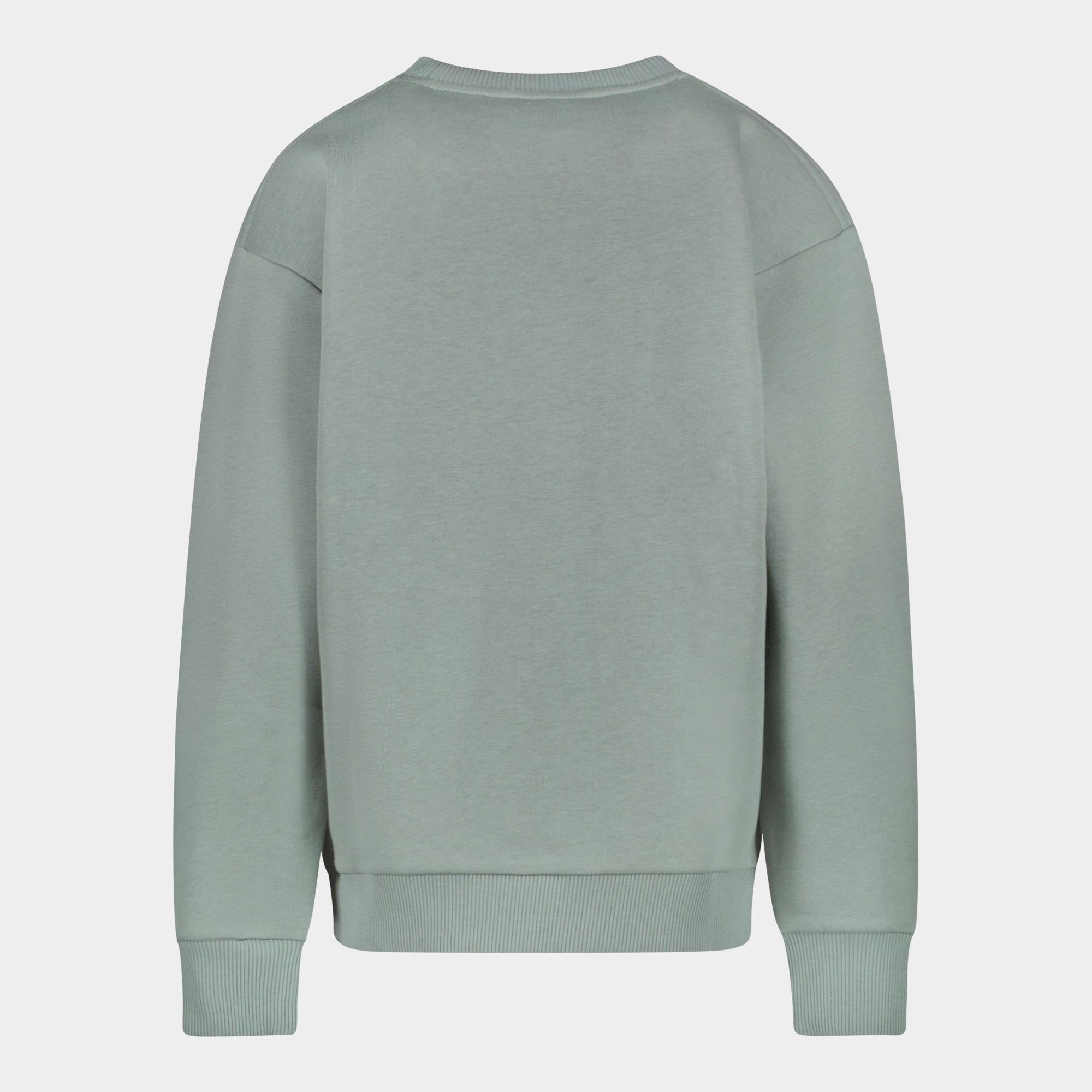 Cars Jeans Sweater Groen EAMON 40385/44