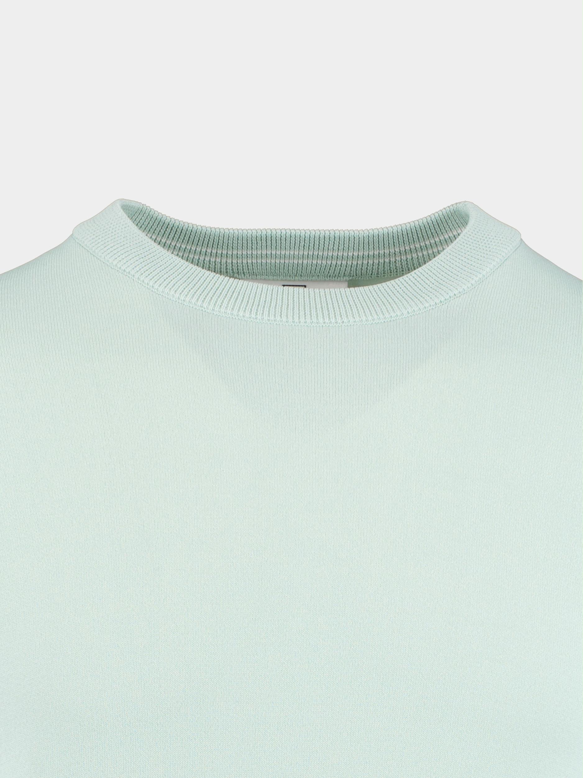 Born With Appetite Pullover Groen Pipa R-neck Stretch 23105PI72/315 ocean