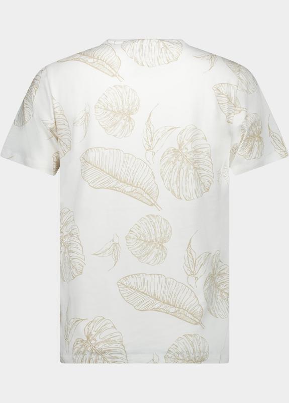 Cars Jeans T-shirt korte mouw Wit Sorro 60271/23