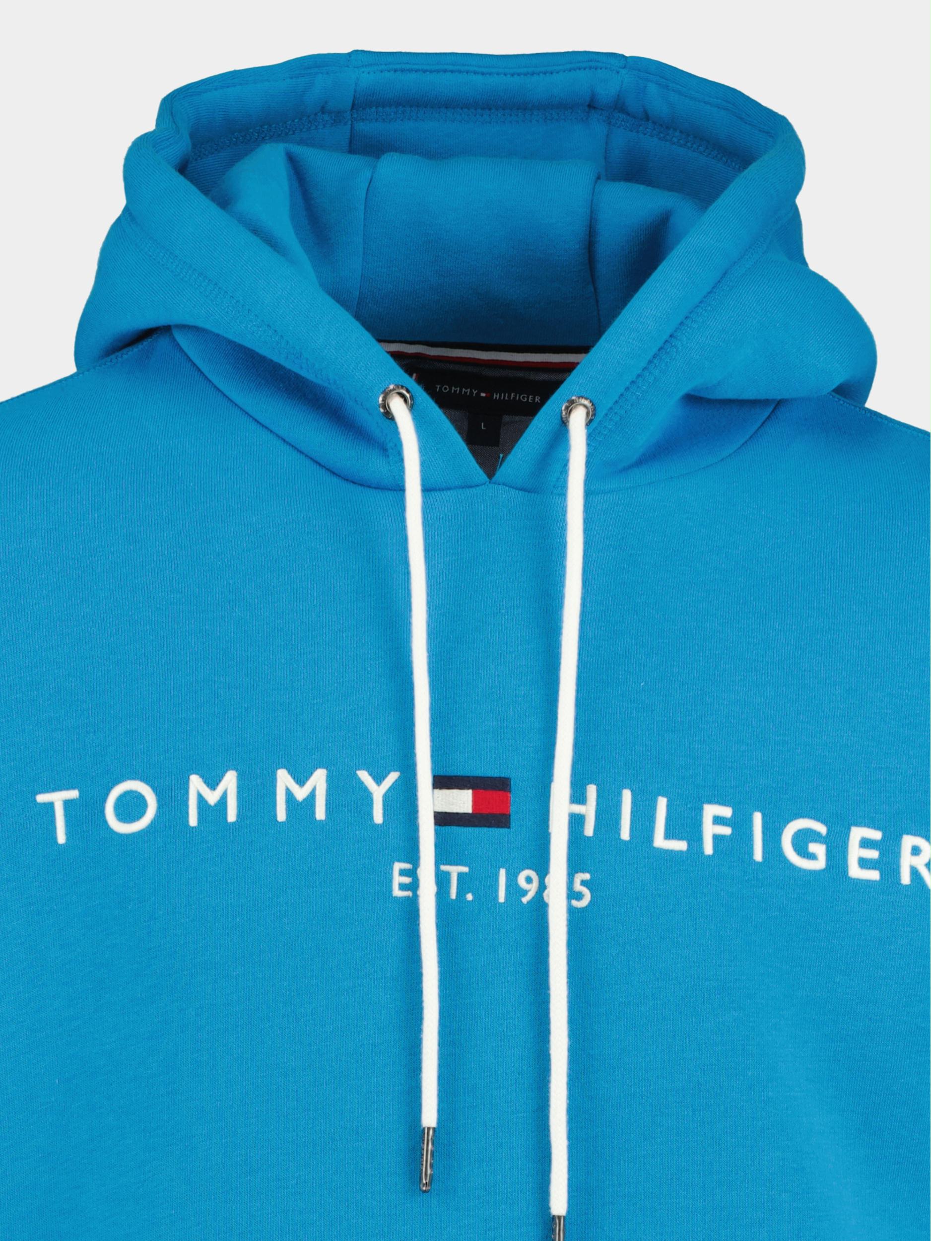 Tommy Hilfiger Sweater Blauw Tommy Logo Hoody MW0MW11599/CZW