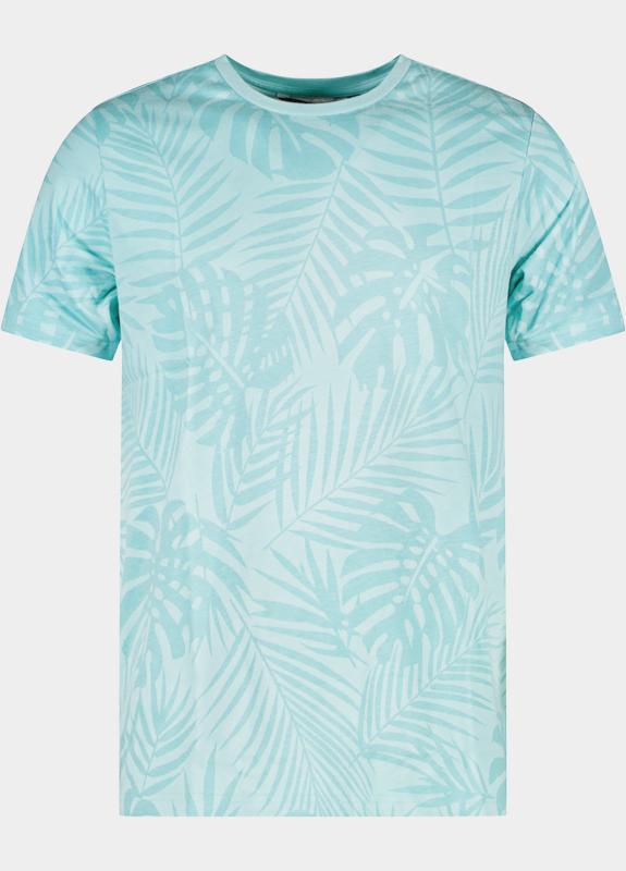 Cars Jeans T-shirt korte mouw Groen ASTAP 84279/34