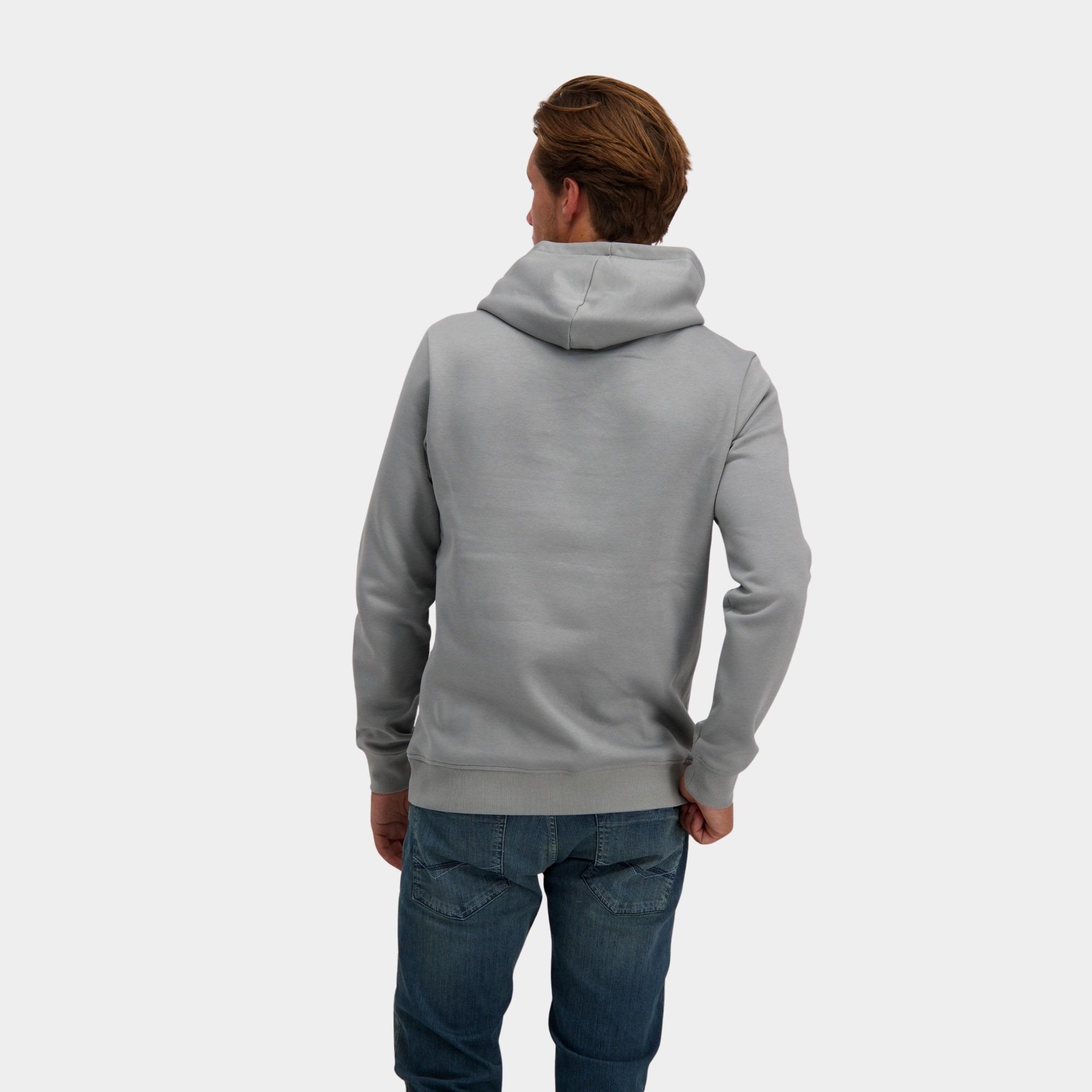 Cars Jeans Sweater Grijs BOCAS 60146/24