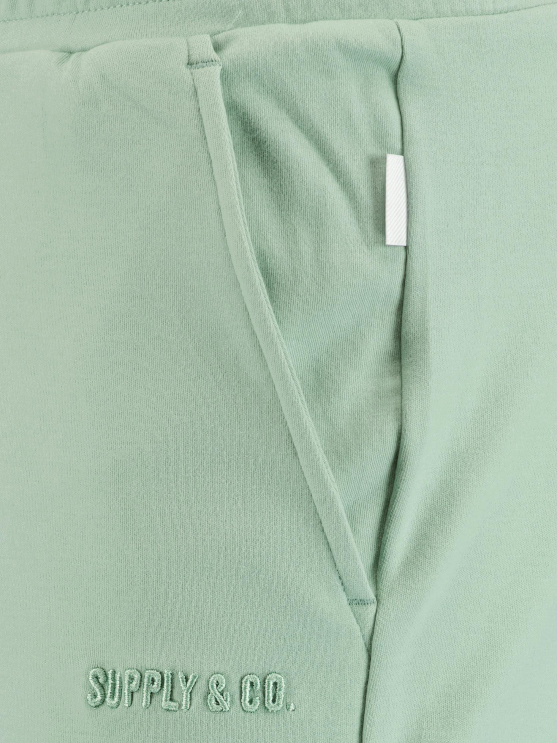 Supply & Co. Korte Broek Groen Lev Sweat Short 22109LE08/313 mint
