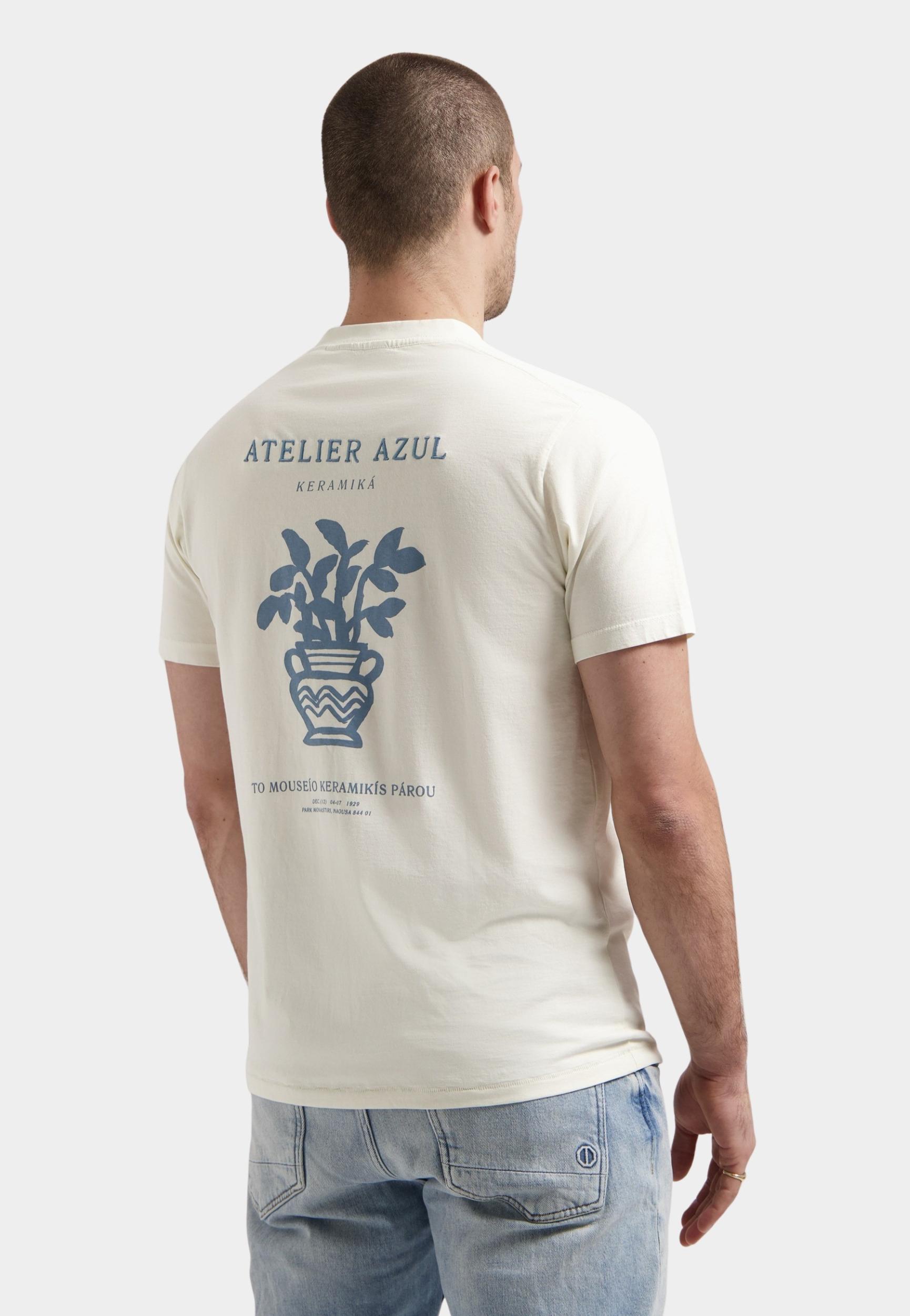 Dstrezzed T-shirt korte mouw Beige Nickolas Graphic Tee 203054/251