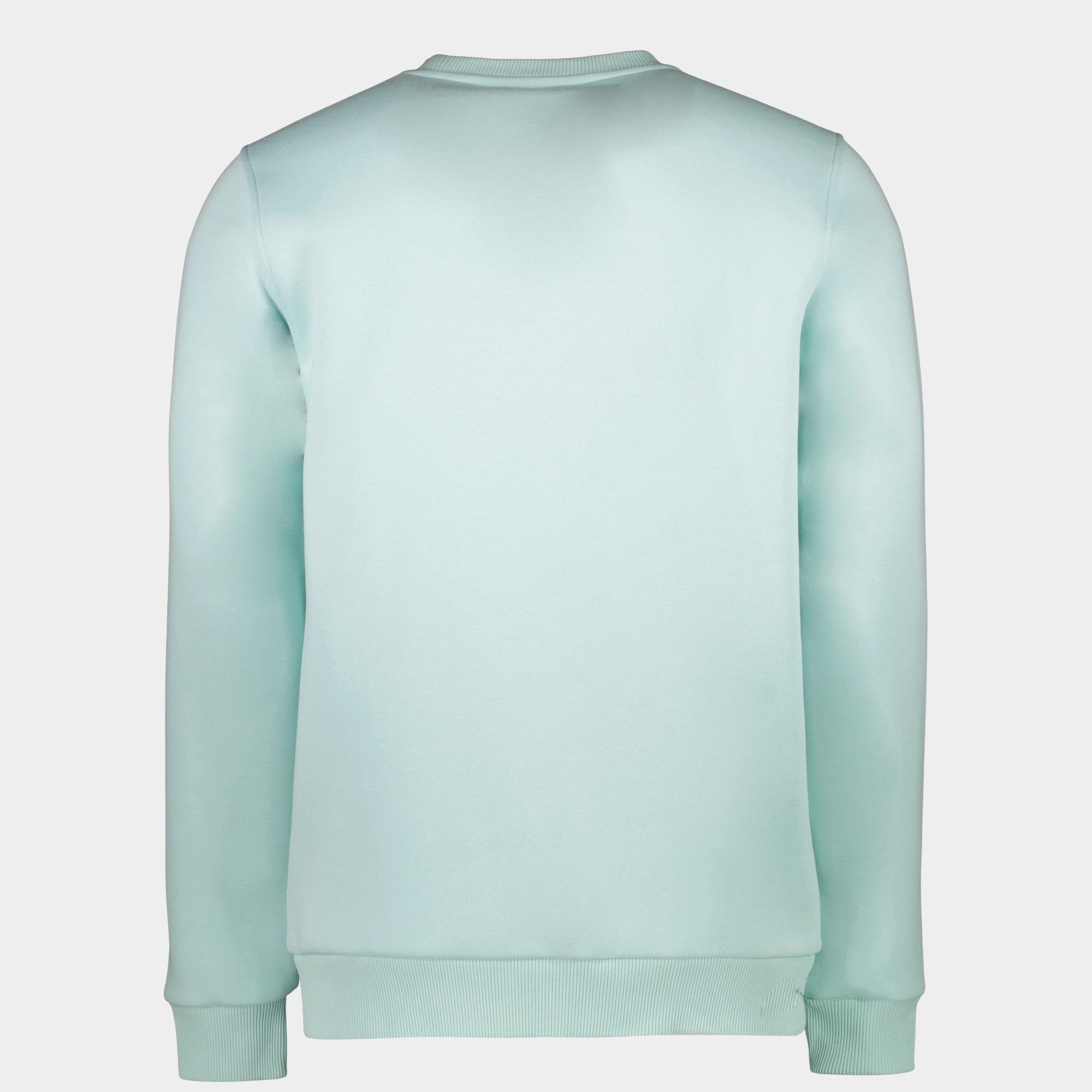Cars Jeans Sweater Groen CROYDON 65273/34