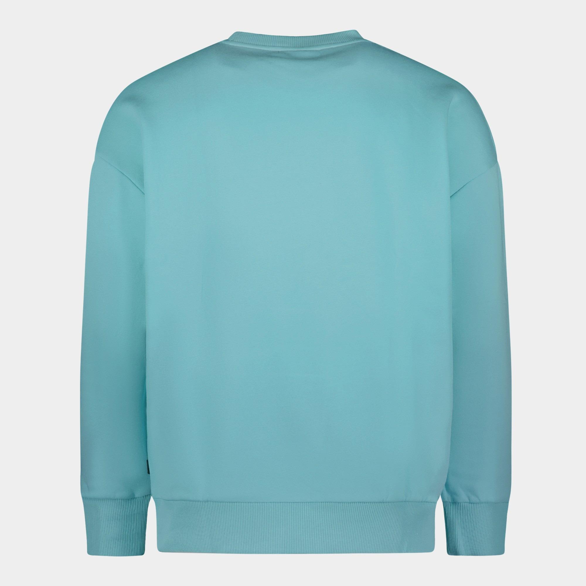 Cars Jeans Sweater Groen EAMON 40385/34