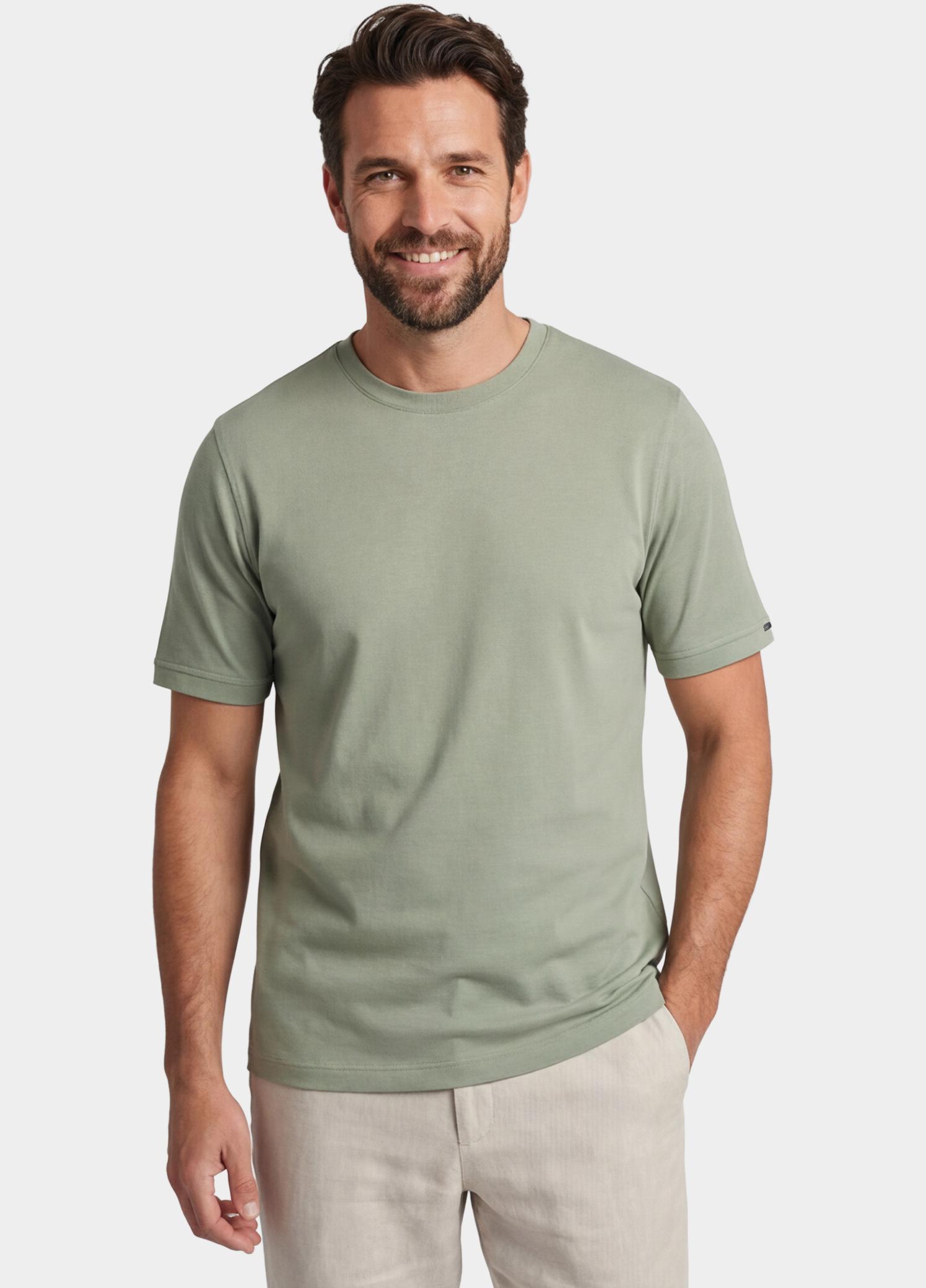 Baileys T-shirt heren Groen T-Shirt crew neck   2-tone 615077/72