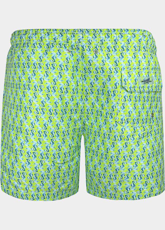 Blue Coast Zwembroek Groen  6179/0047