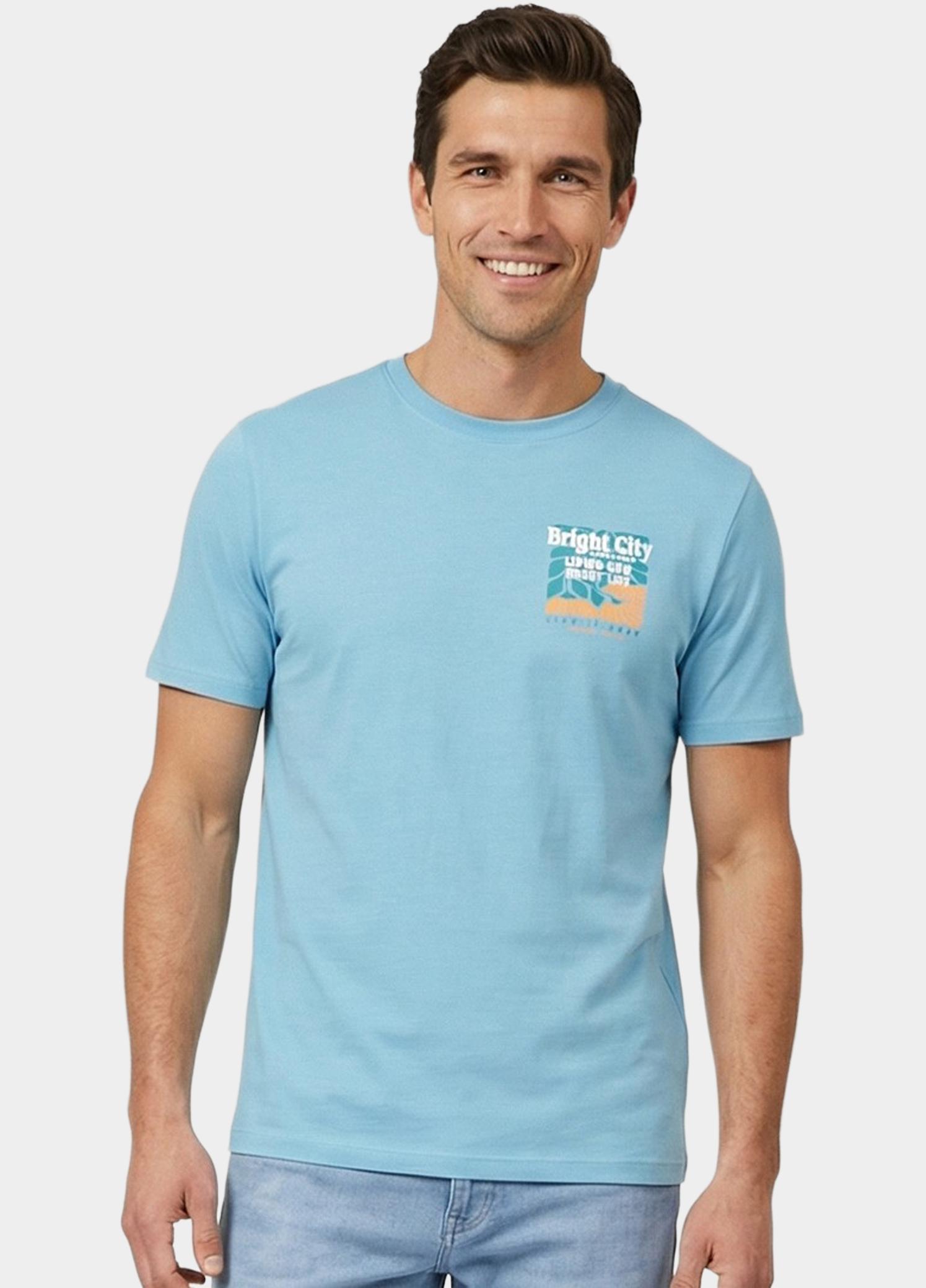 Cars Jeans T-shirt korte mouw Grijs Ritzo 62371/47