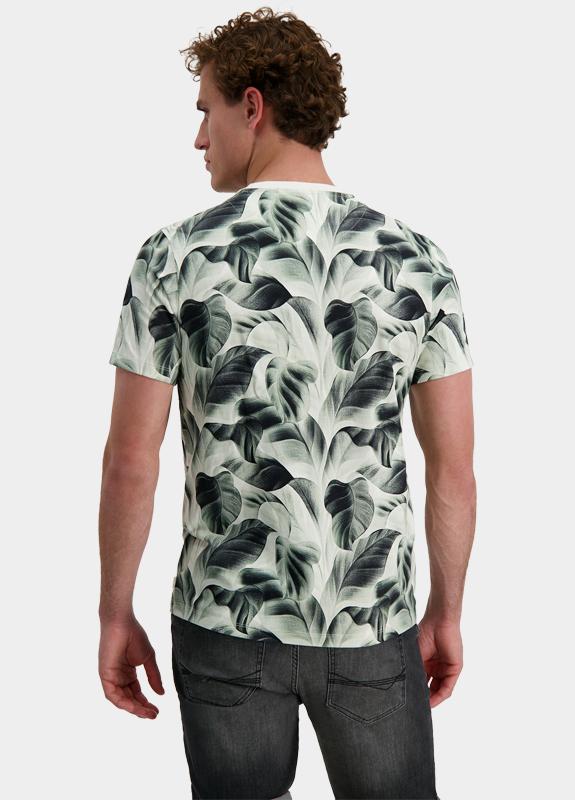 Cars Jeans T-shirt korte mouw Grijs Tipah 63563/44