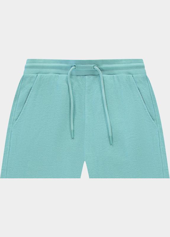 Cars Jeans Korte Broek heren Groen Lowkey 63971/34