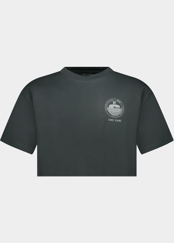 Cars Jeans T-shirt korte mouw Grijs Pluyo 61071/17