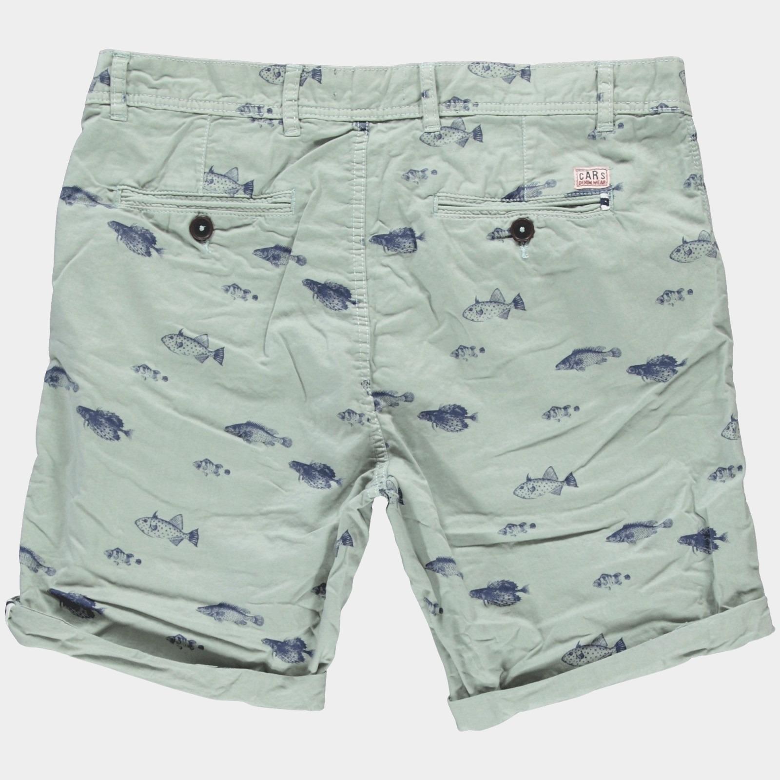 Cars Jeans Korte Broek Groen FARO 44643/45