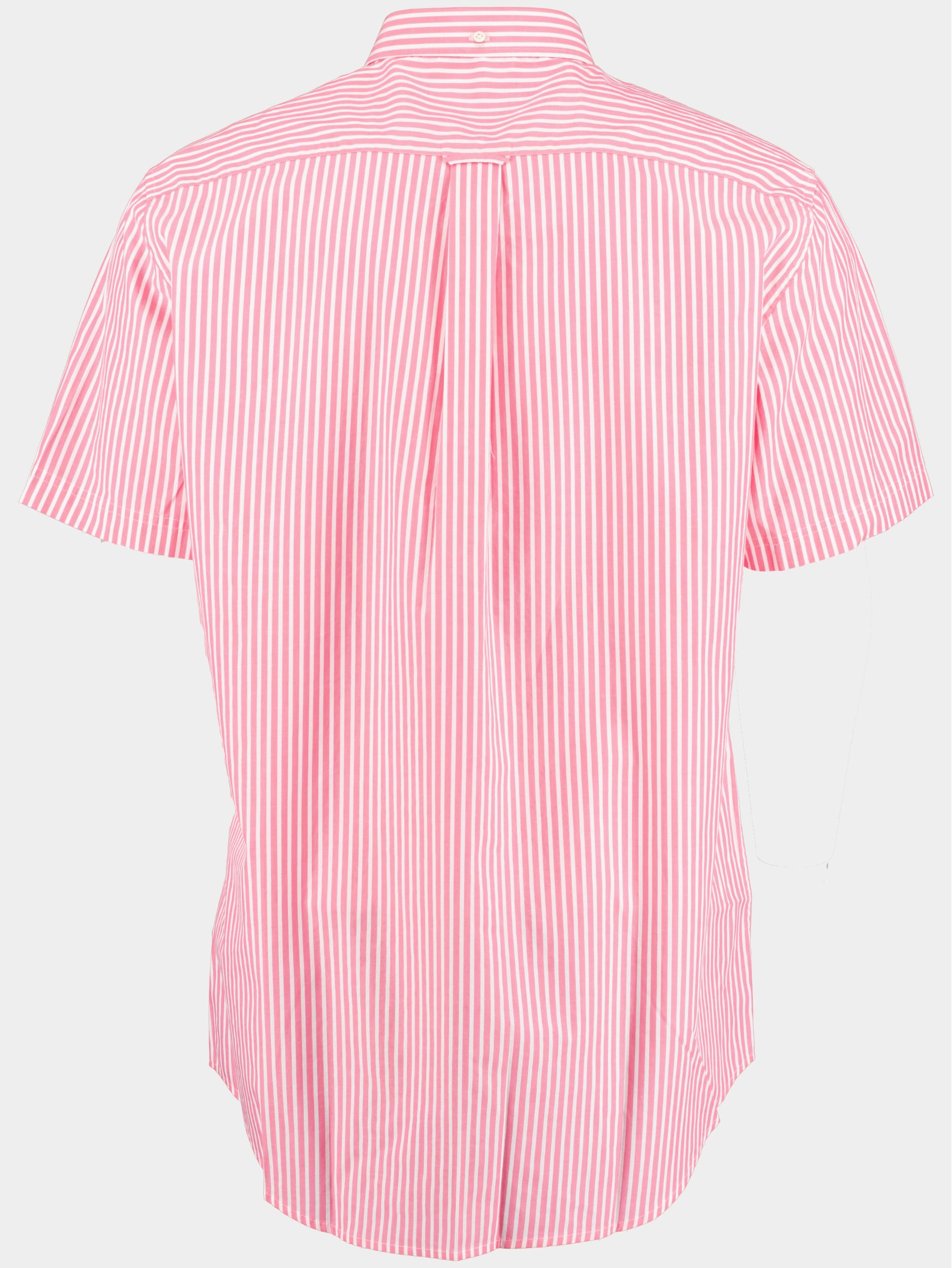 Gant Casual hemd lange mouw Roze Reg Broadcloth Stripe BD SS 3062001/606