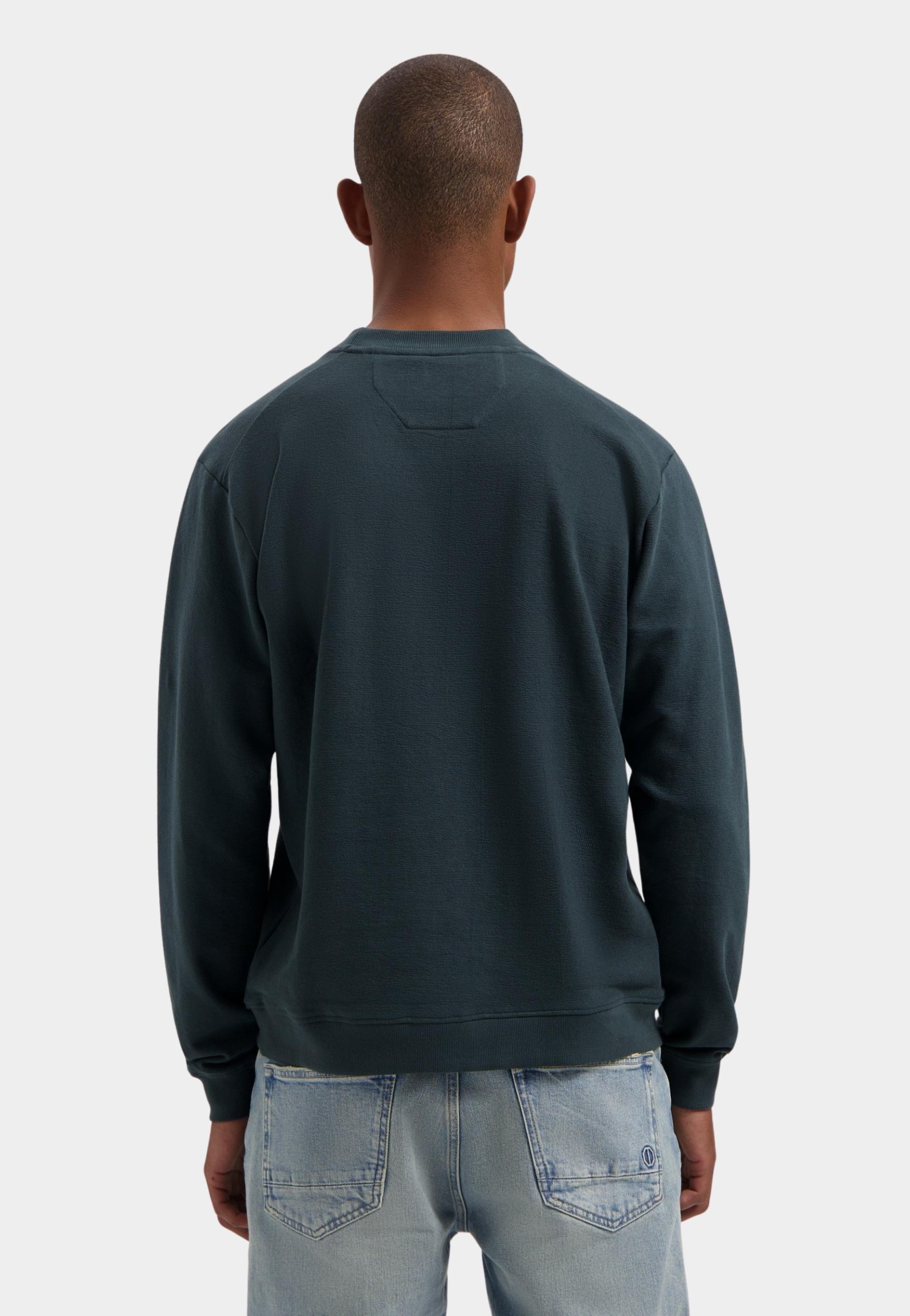 Dstrezzed Pullover heren Groen Lasse Crewneck 221080/562