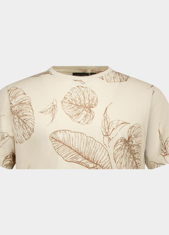 Cars Jeans T-shirt korte mouw Beige Sorro 60271/83