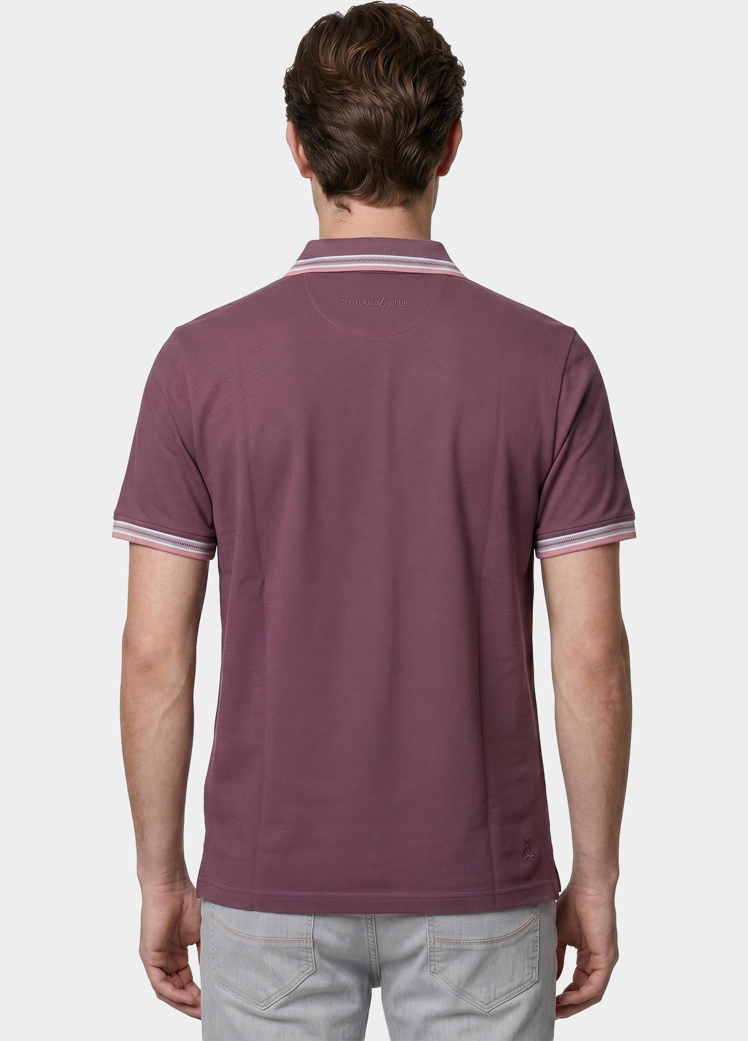 Scotland Blue Polo heren Paars Brick Polo Plain Contrast Col SPE25108BR06SB/765 grape