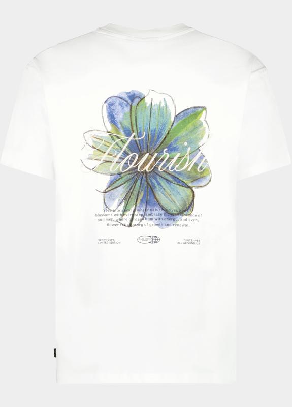 Cars Jeans T-shirt korte mouw Wit Pluyo 61071/23