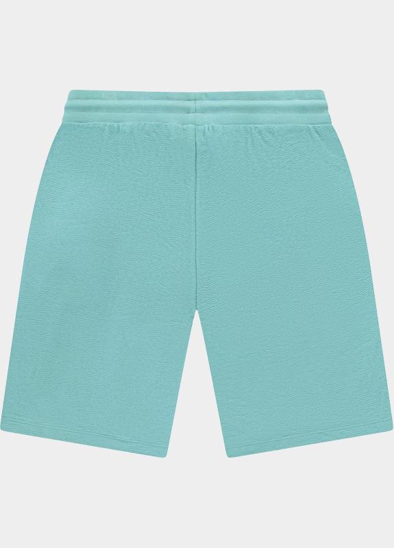 Cars Jeans Korte Broek heren Groen Lowkey 63971/34